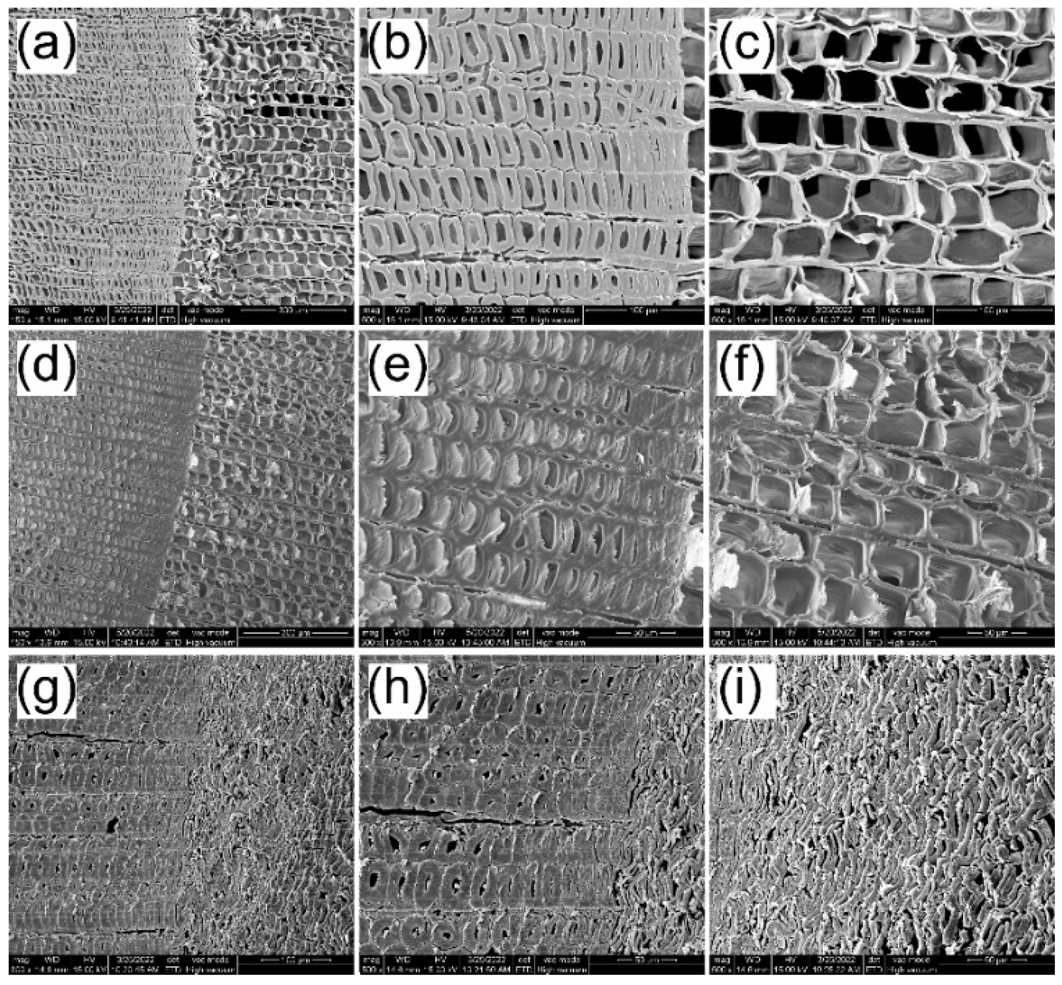 Forests 13 01620 g004