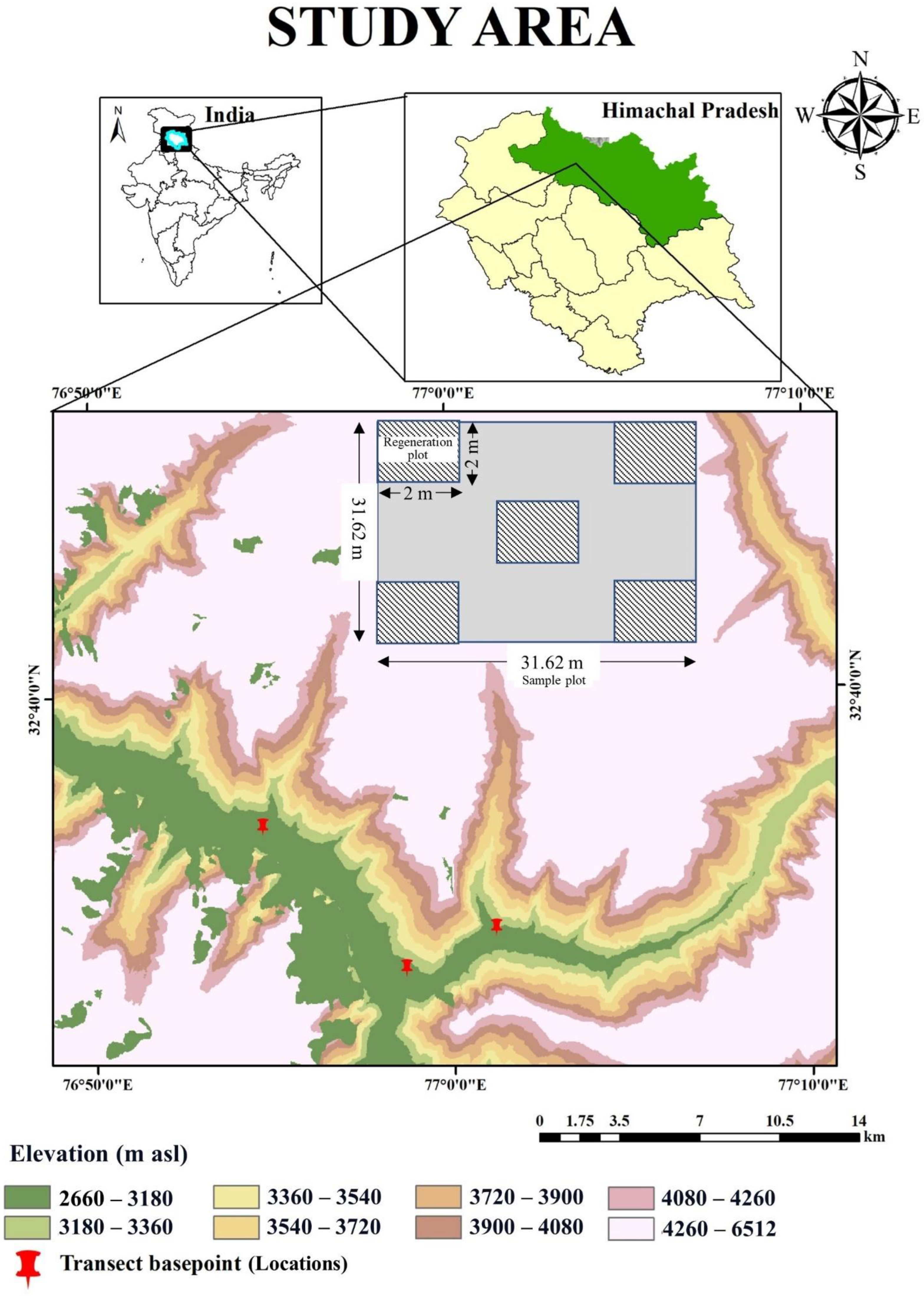 Forests 13 01624 g001