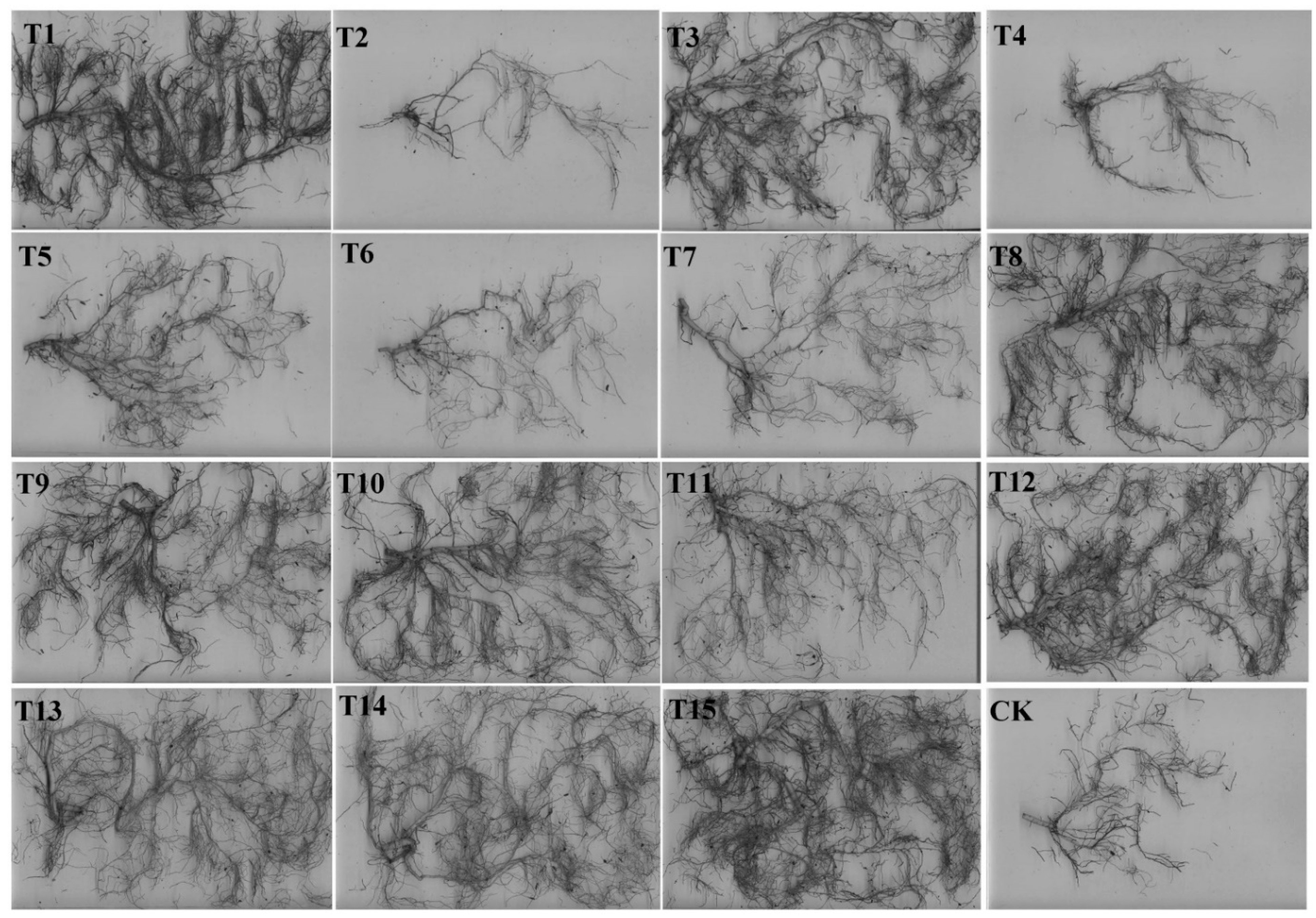 Forests 13 01626 g003