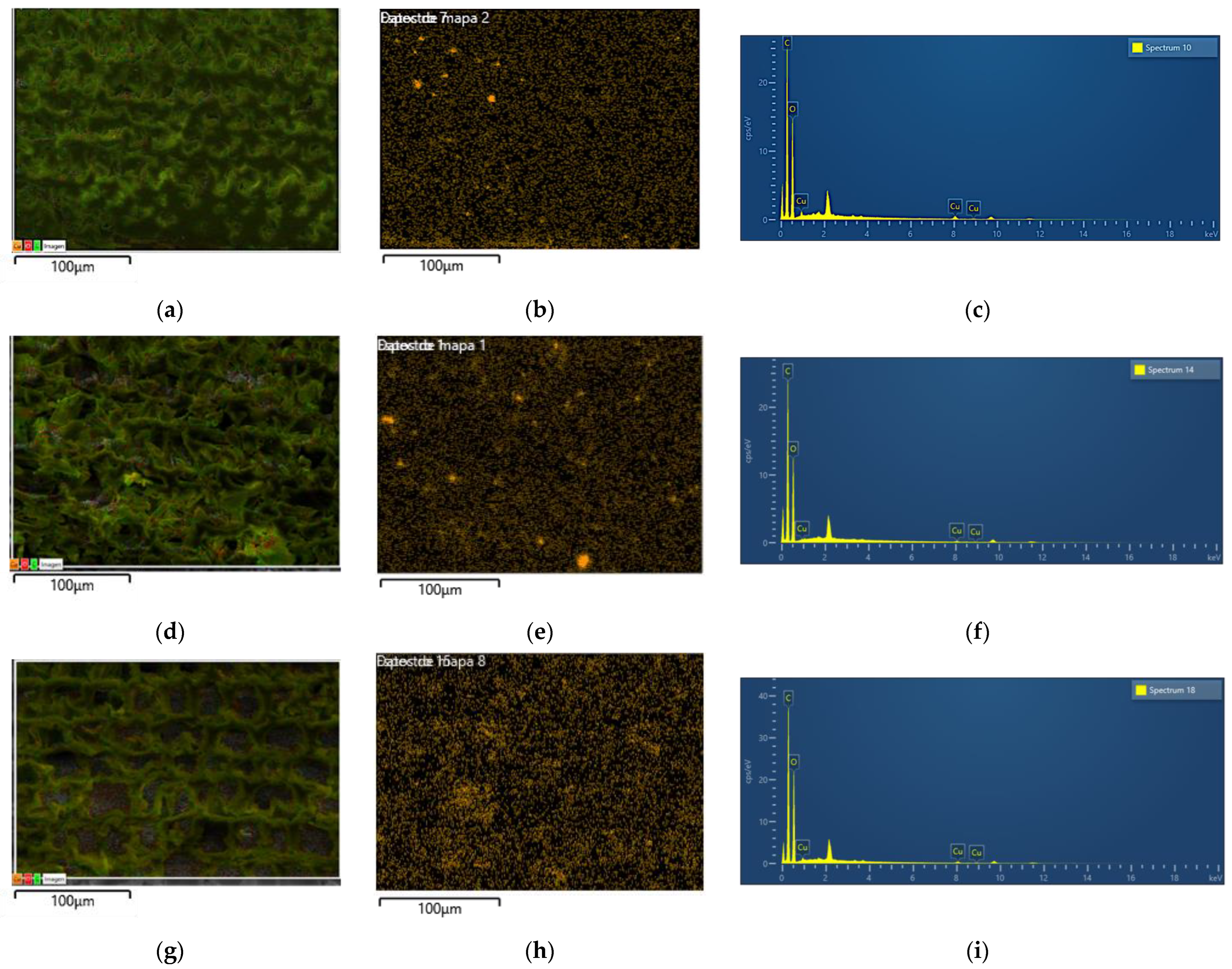 Forests 13 01636 g003