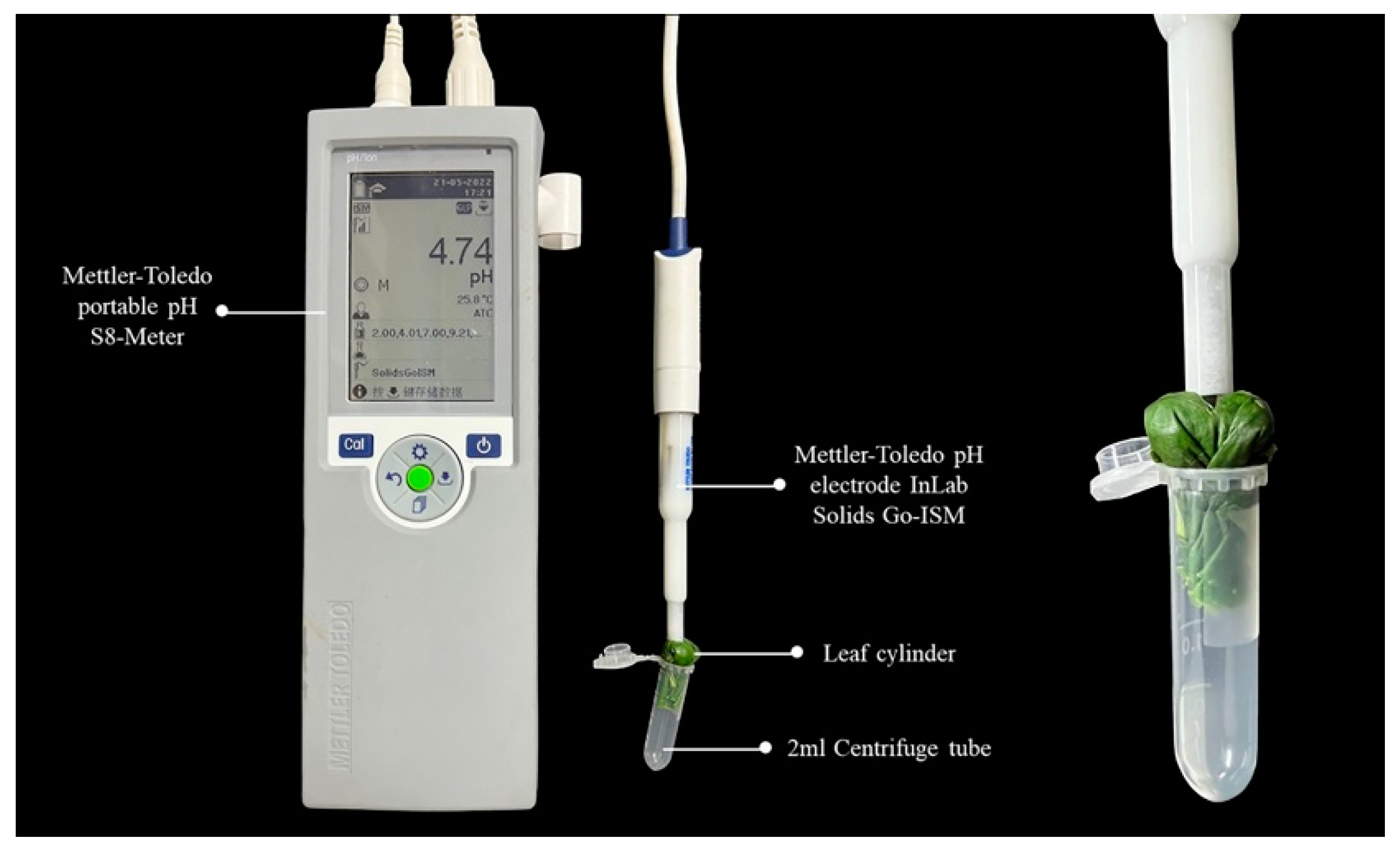 Forests 13 01640 g001 Forests 13 01640 g001