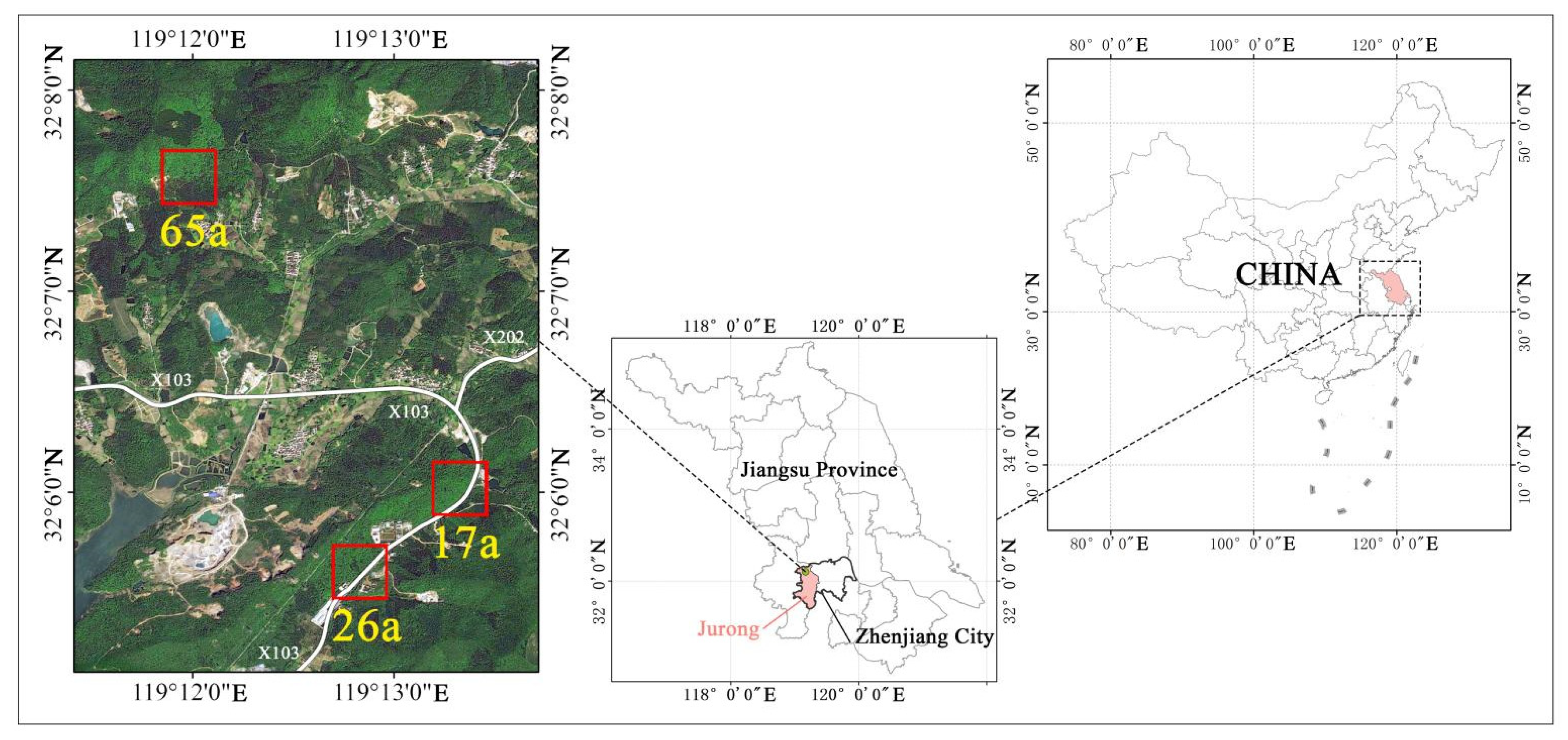Forests 13 01649 g001 Forests 13 01649 g001