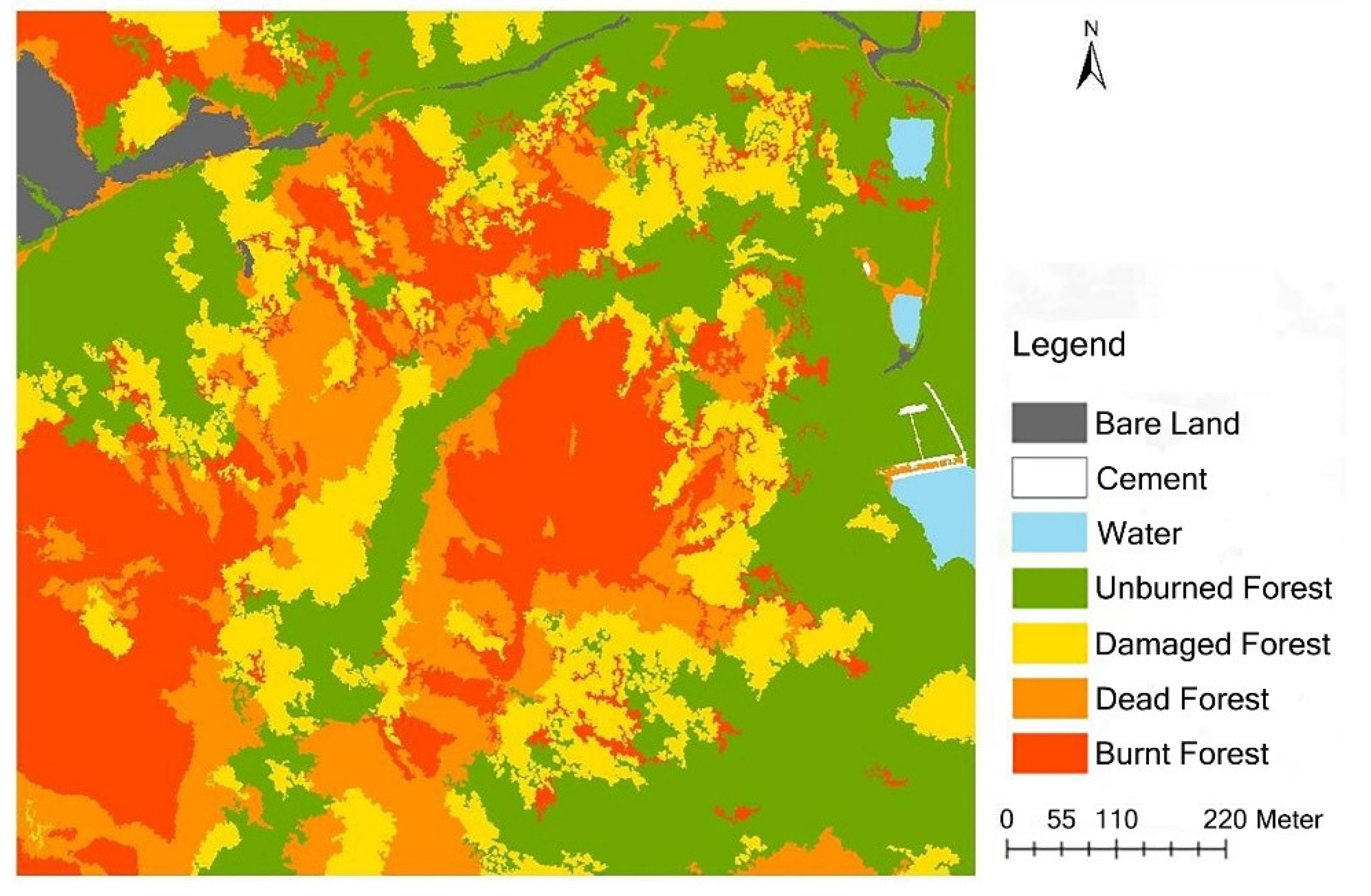 Forests 13 01665 g007