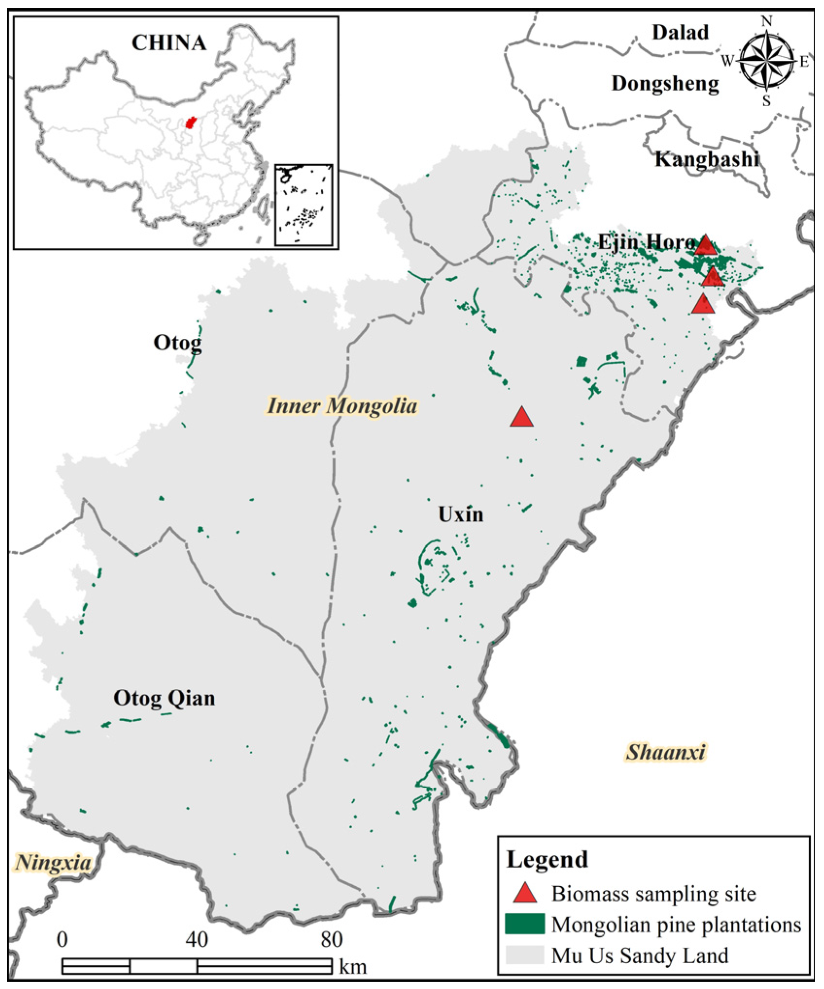 Forests 13 01672 g001