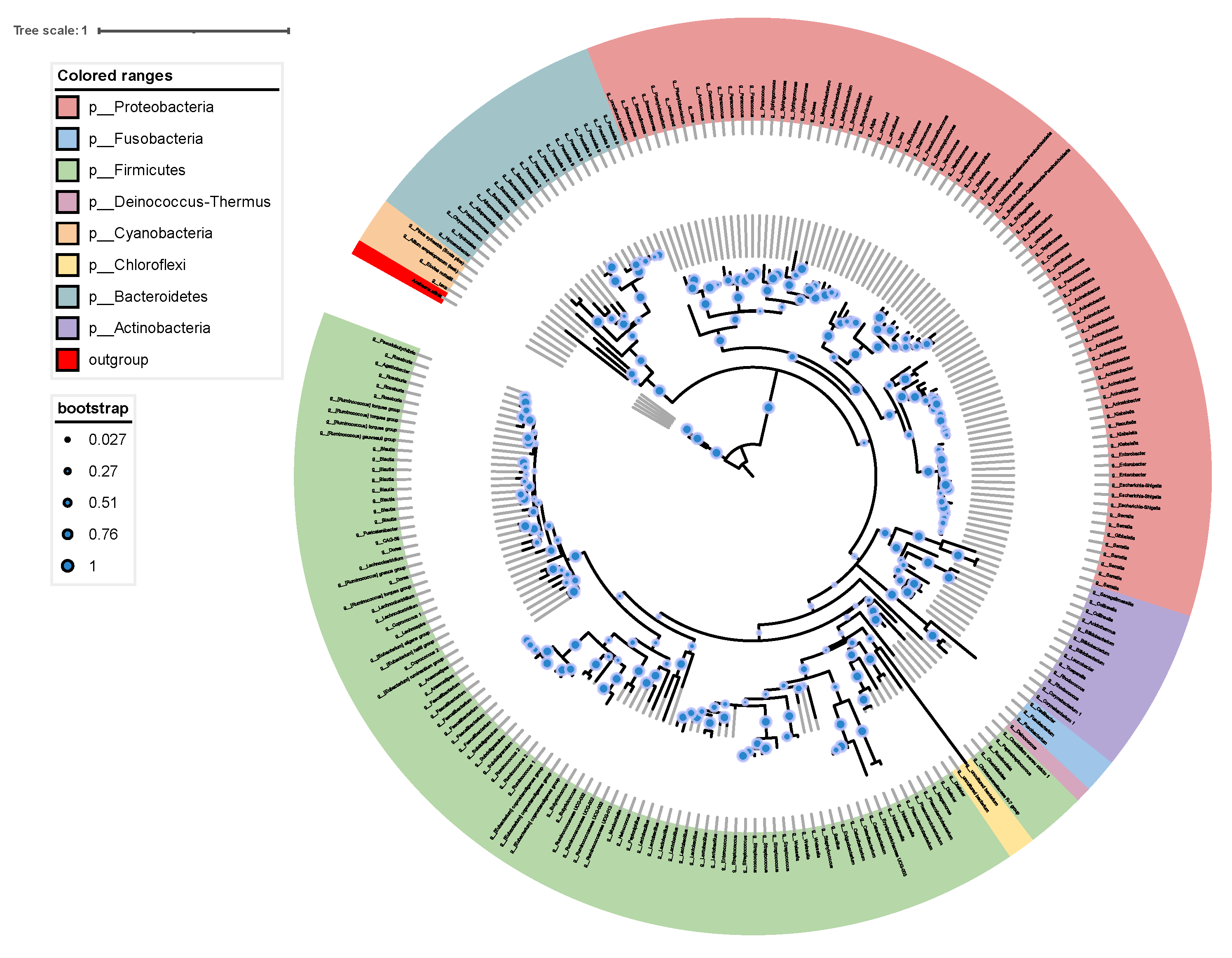 Forests 13 01673 g005