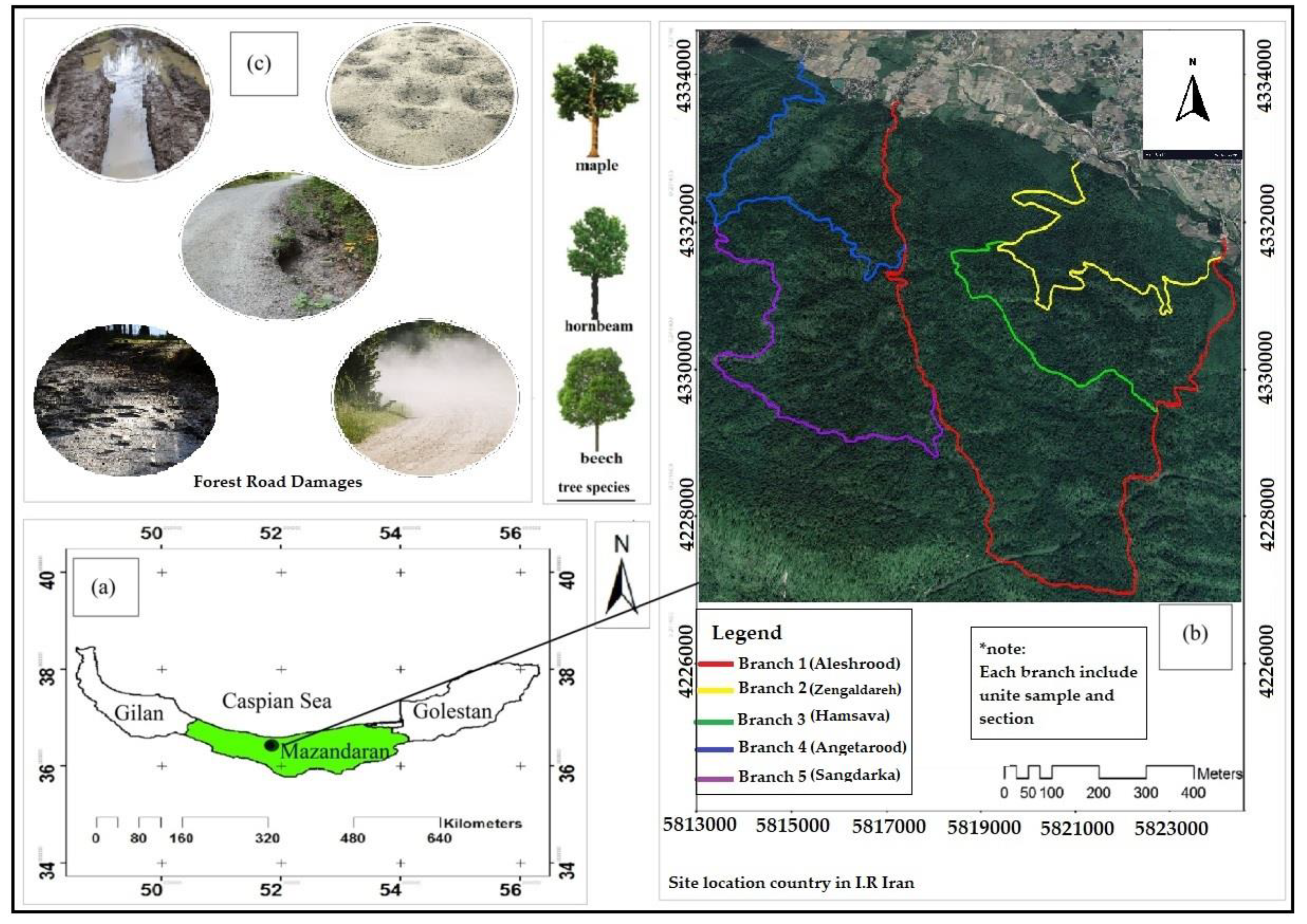 Forests 13 01674 g003