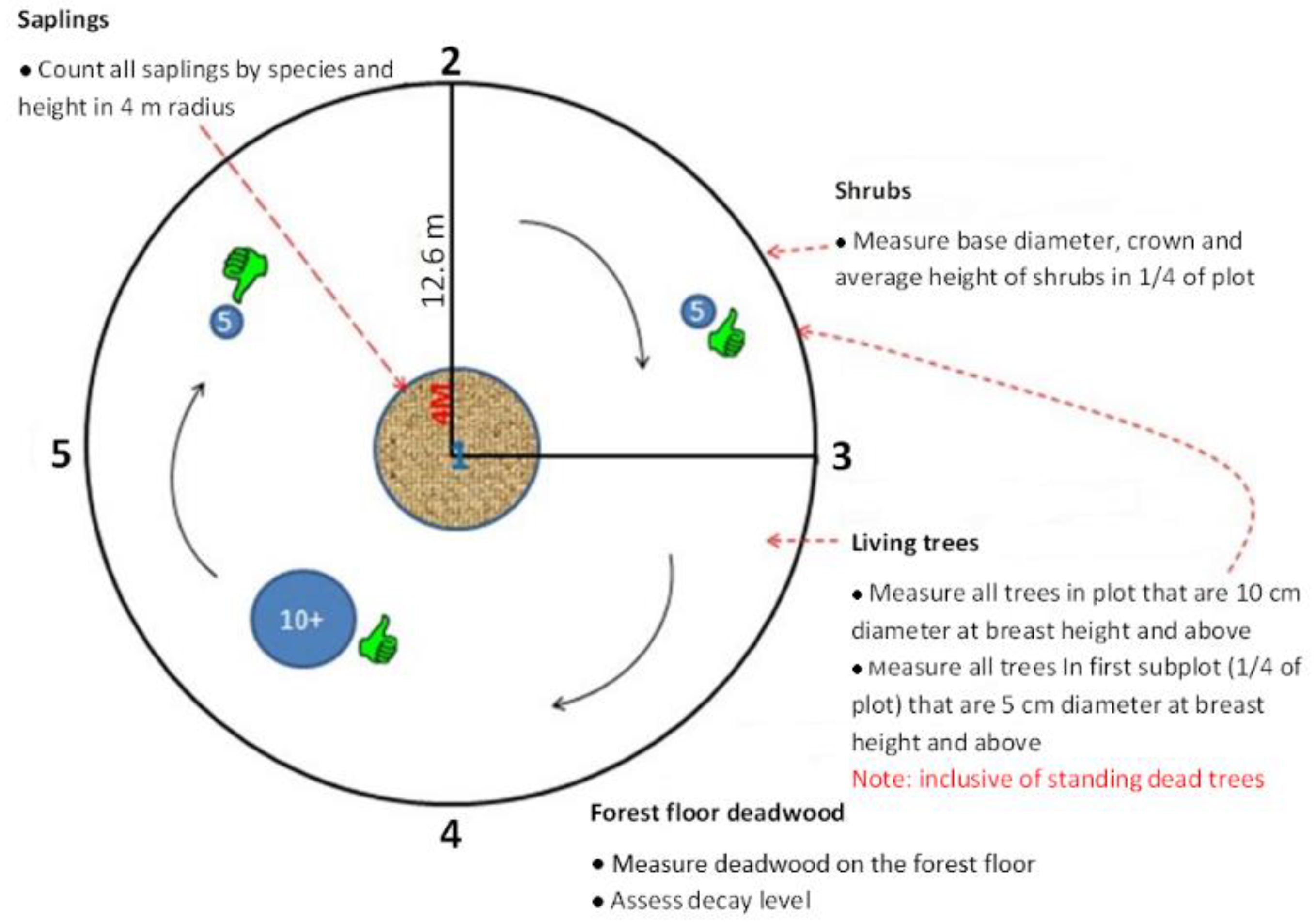 Forests 13 01676 g003