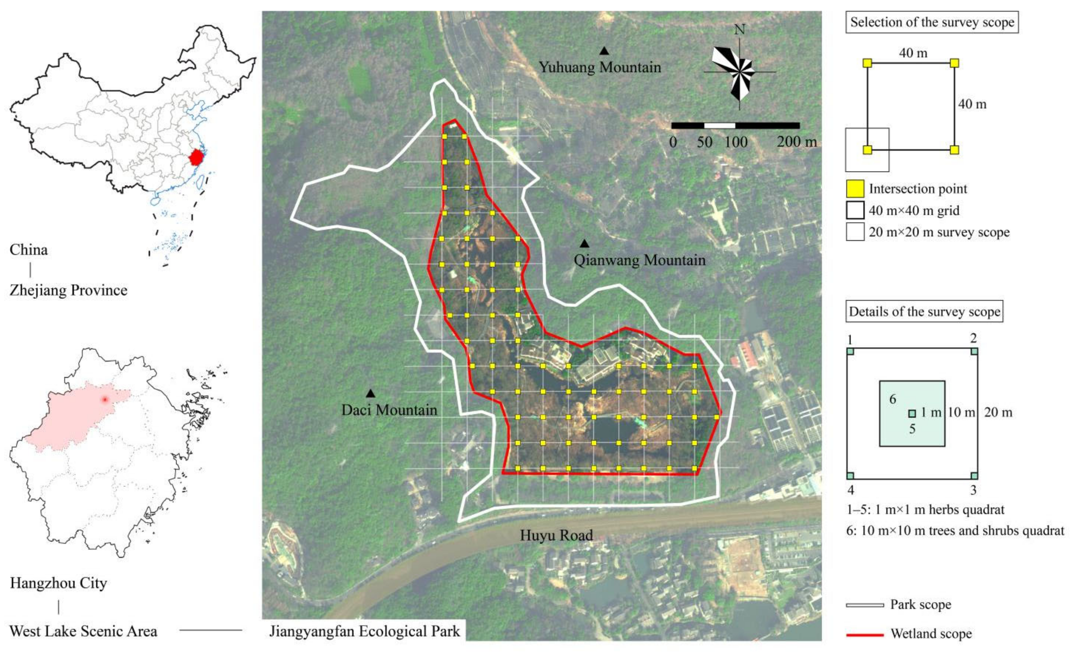 Forests 13 01678 g001