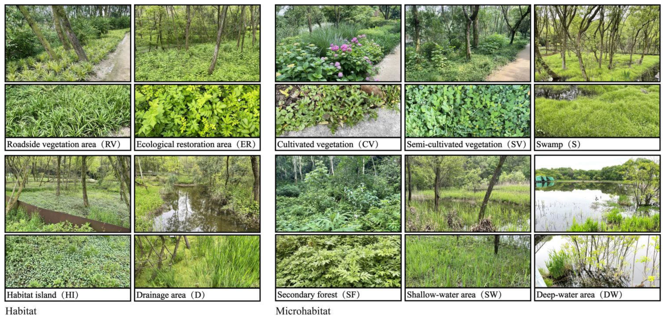 Forests 13 01678 g002