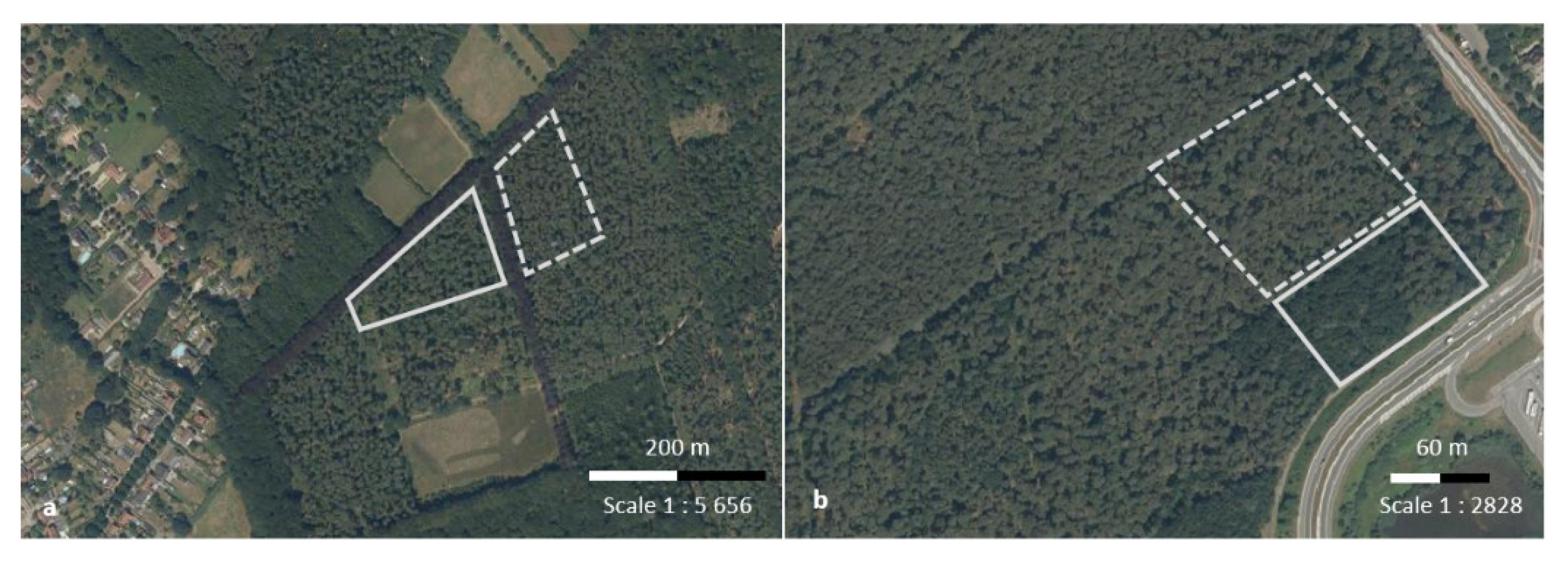 Forests 13 01679 g001