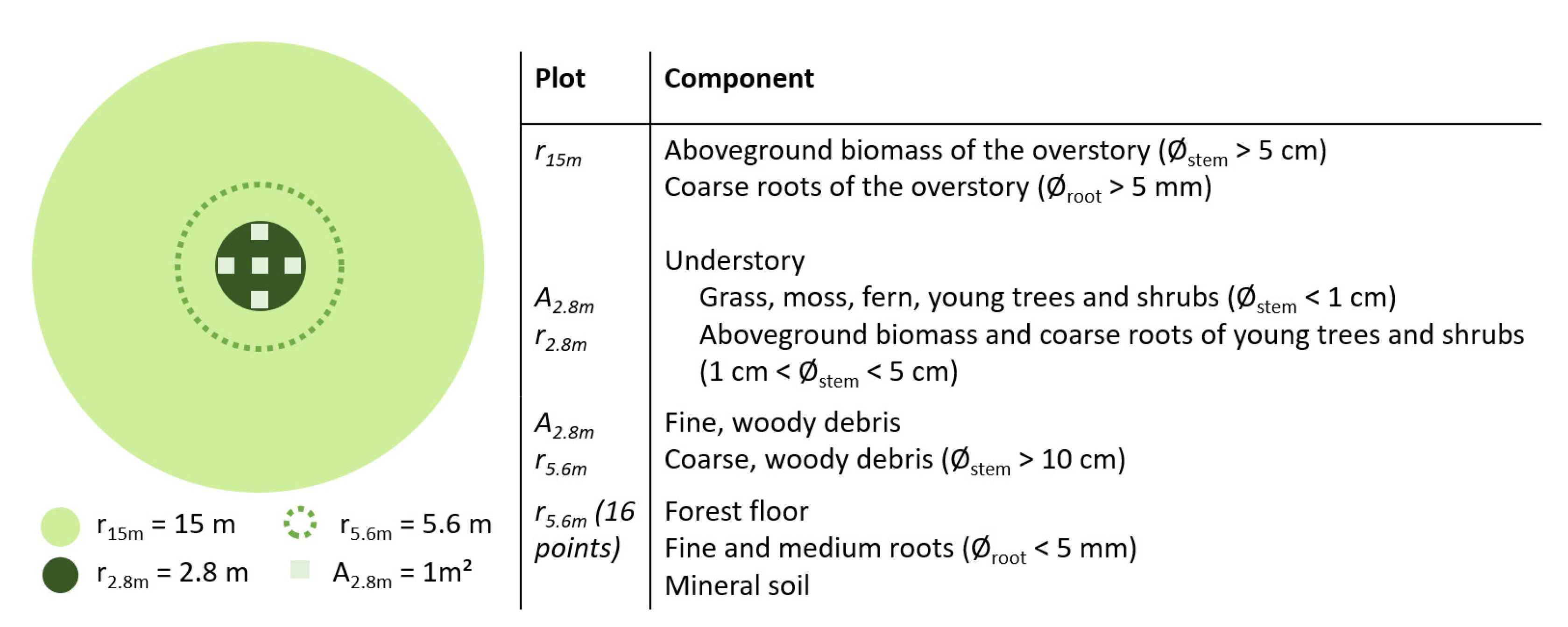 Forests 13 01679 g002