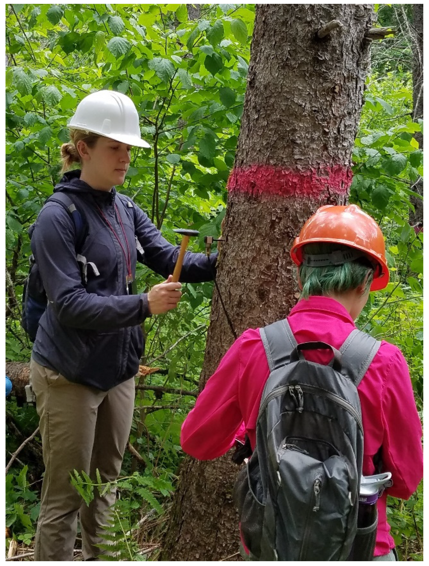 Forests 13 01680 g003