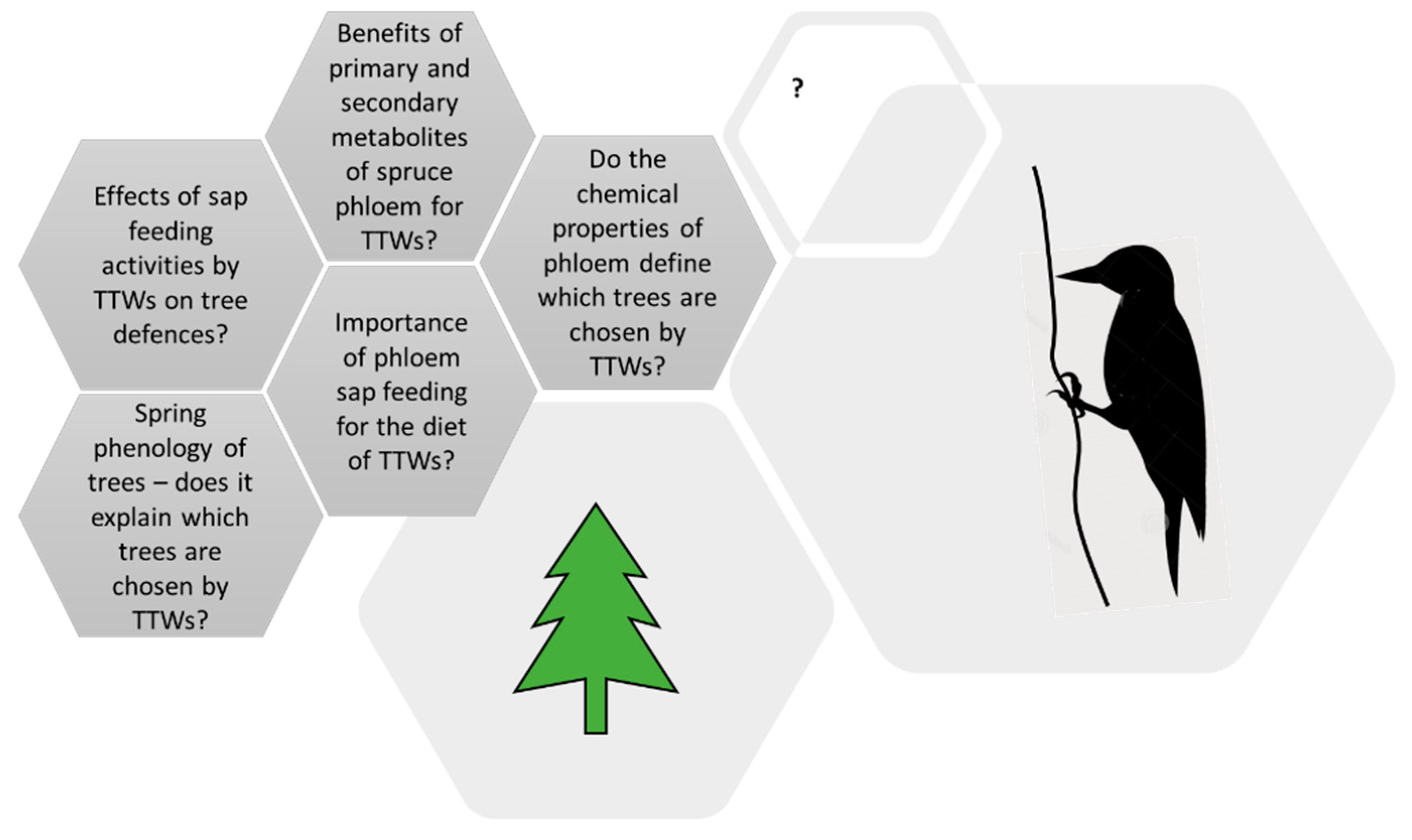 Forests 13 01681 g011