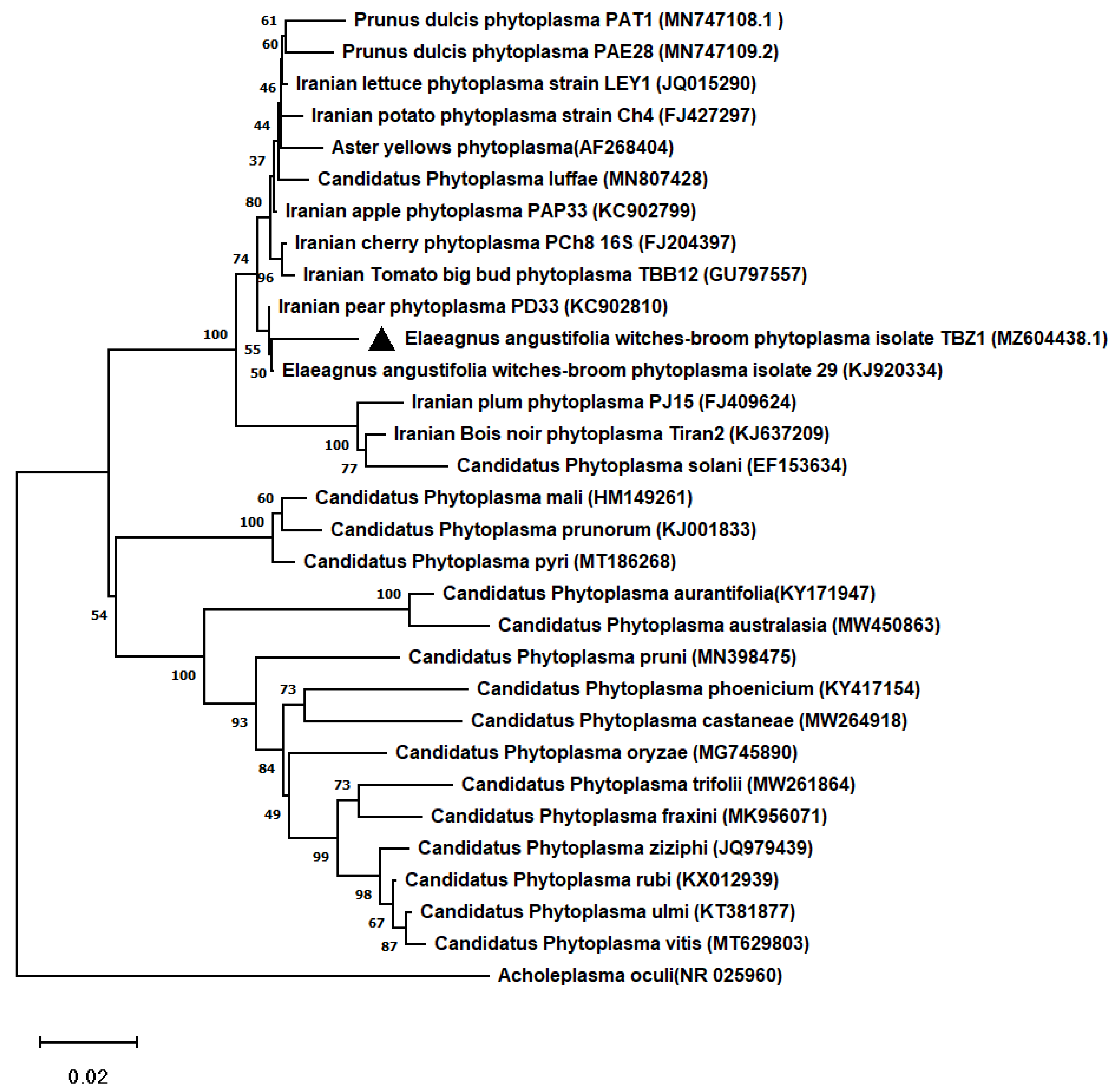 Forests 13 01684 g002