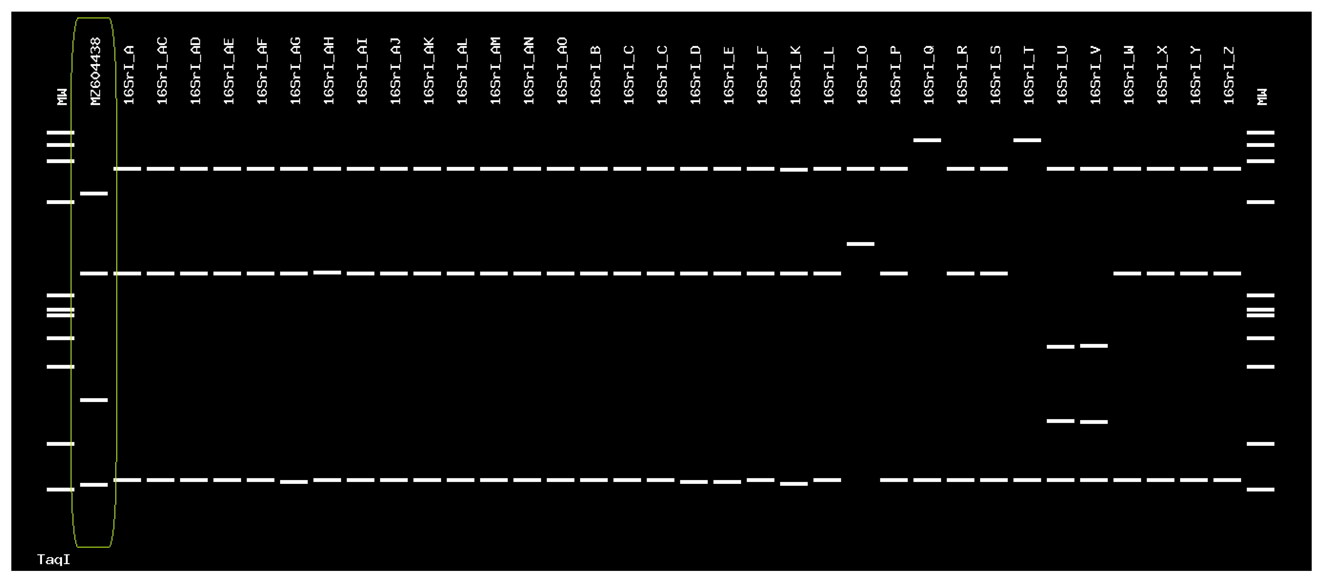 Forests 13 01684 g003