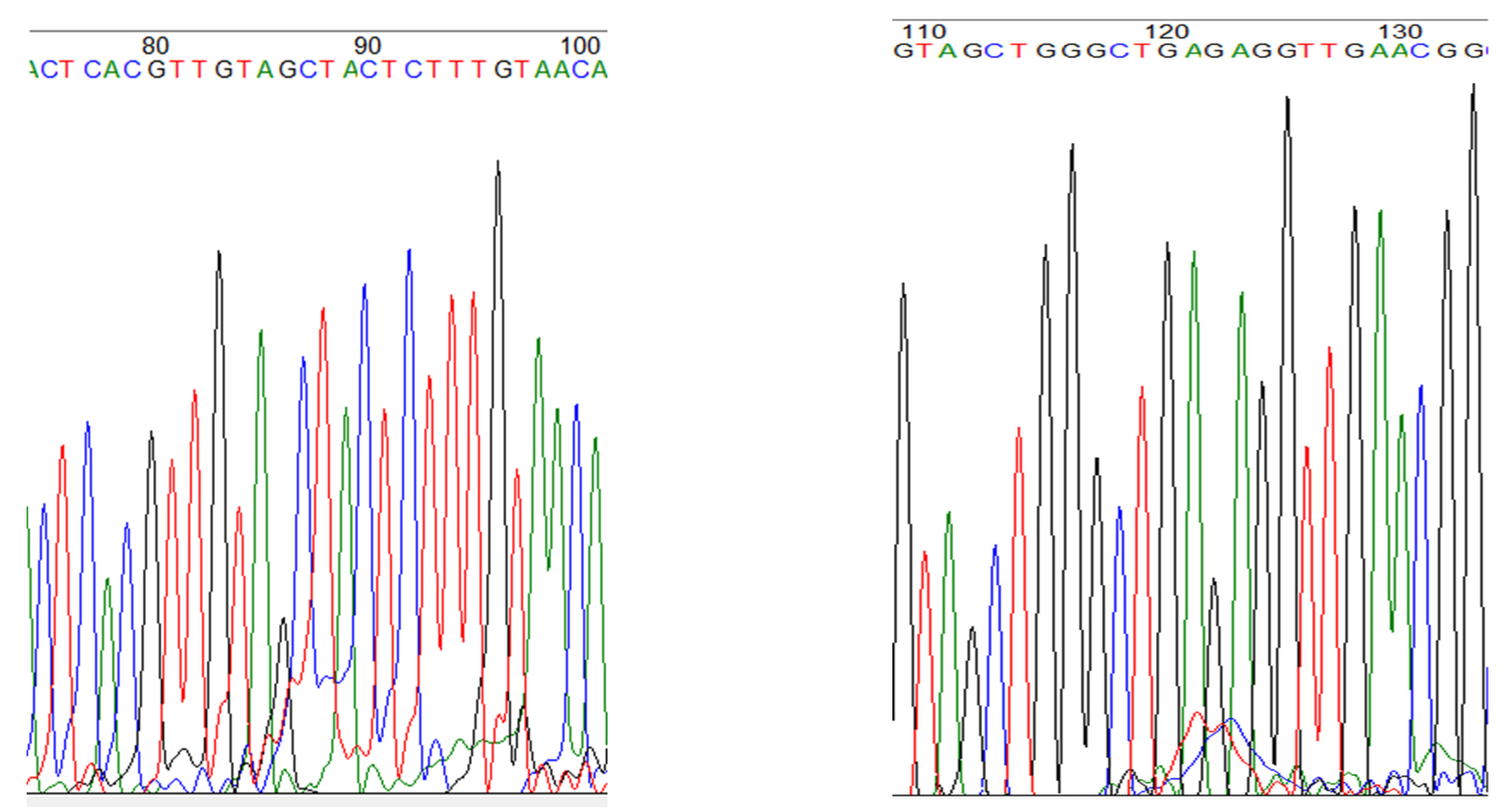 Forests 13 01684 g004