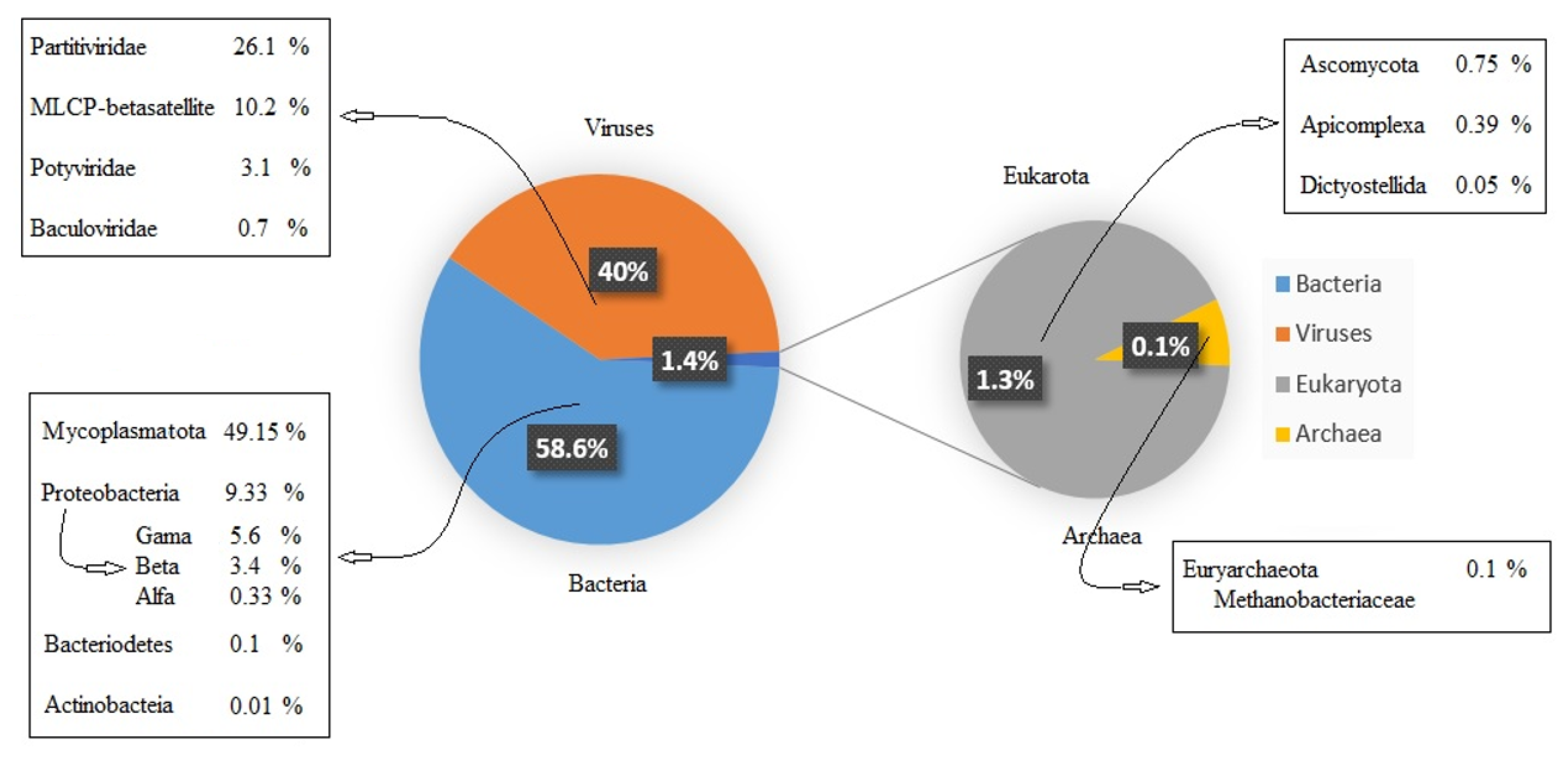 Forests 13 01684 g005