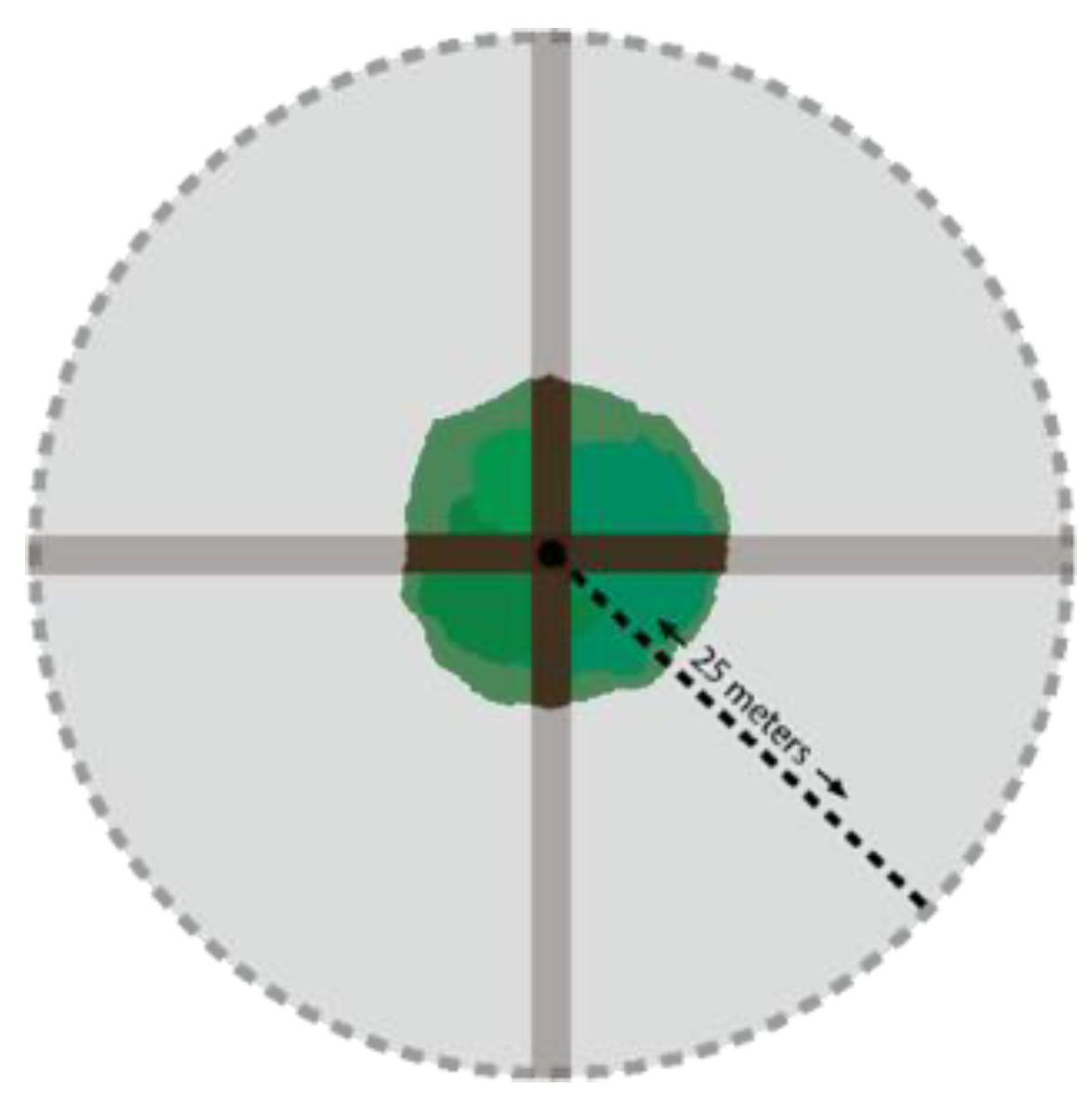 Forests 13 01693 g001