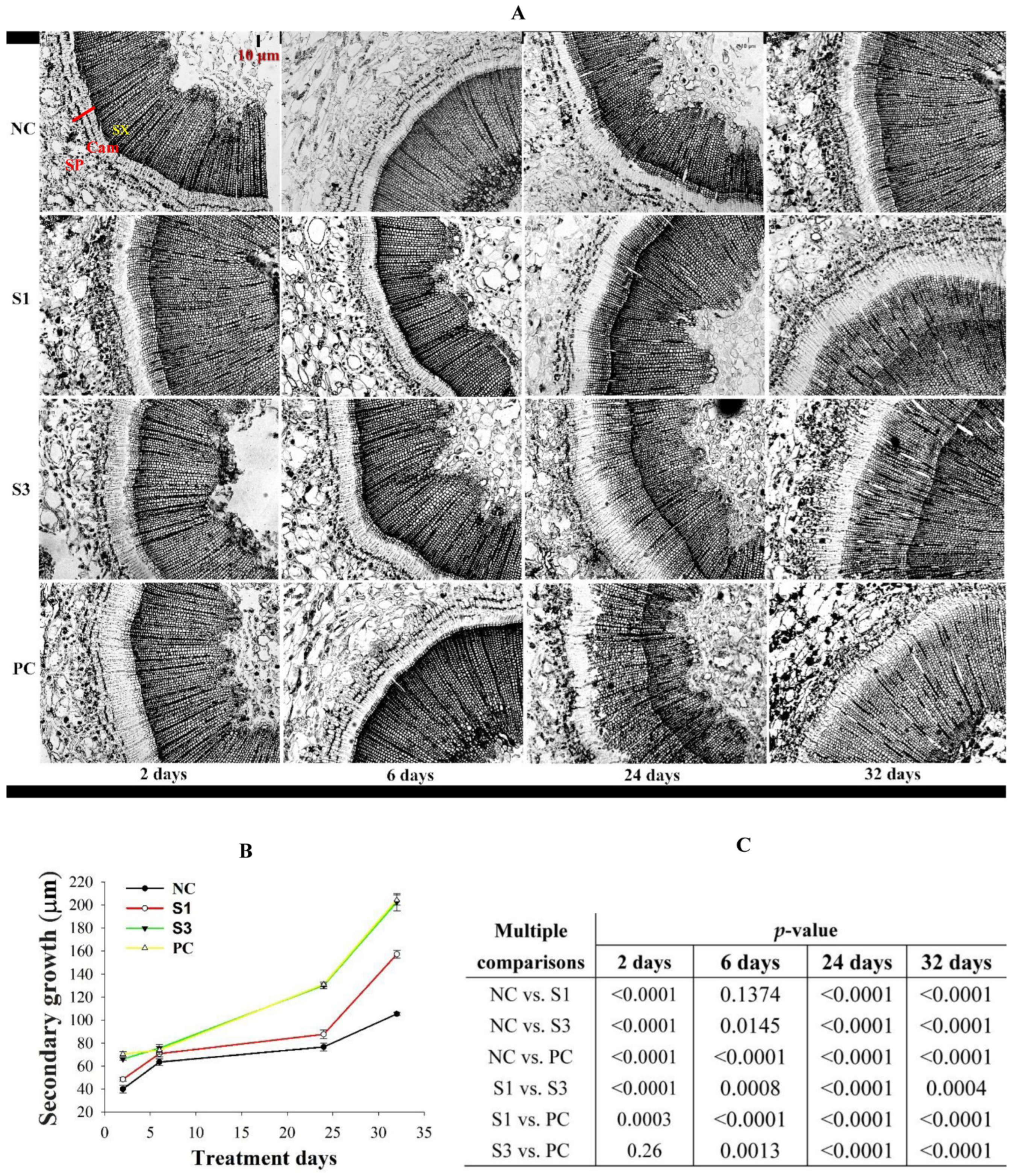 Forests 13 01698 g002