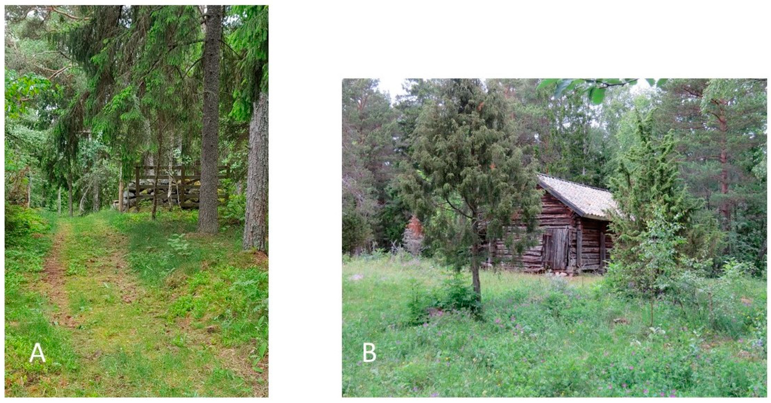 Forests 13 01715 g001 Forests 13 01715 g001