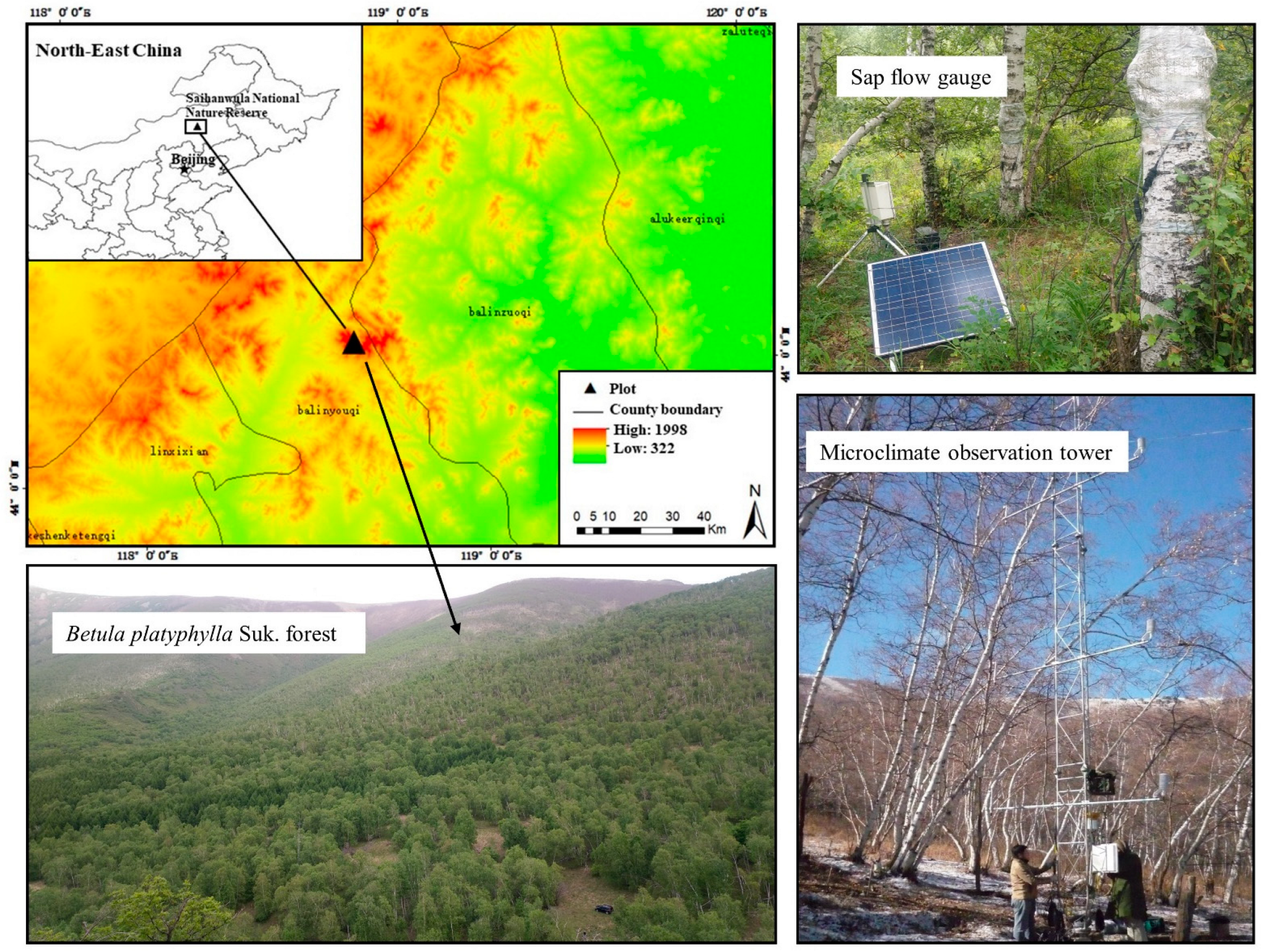Forests 13 01729 g001