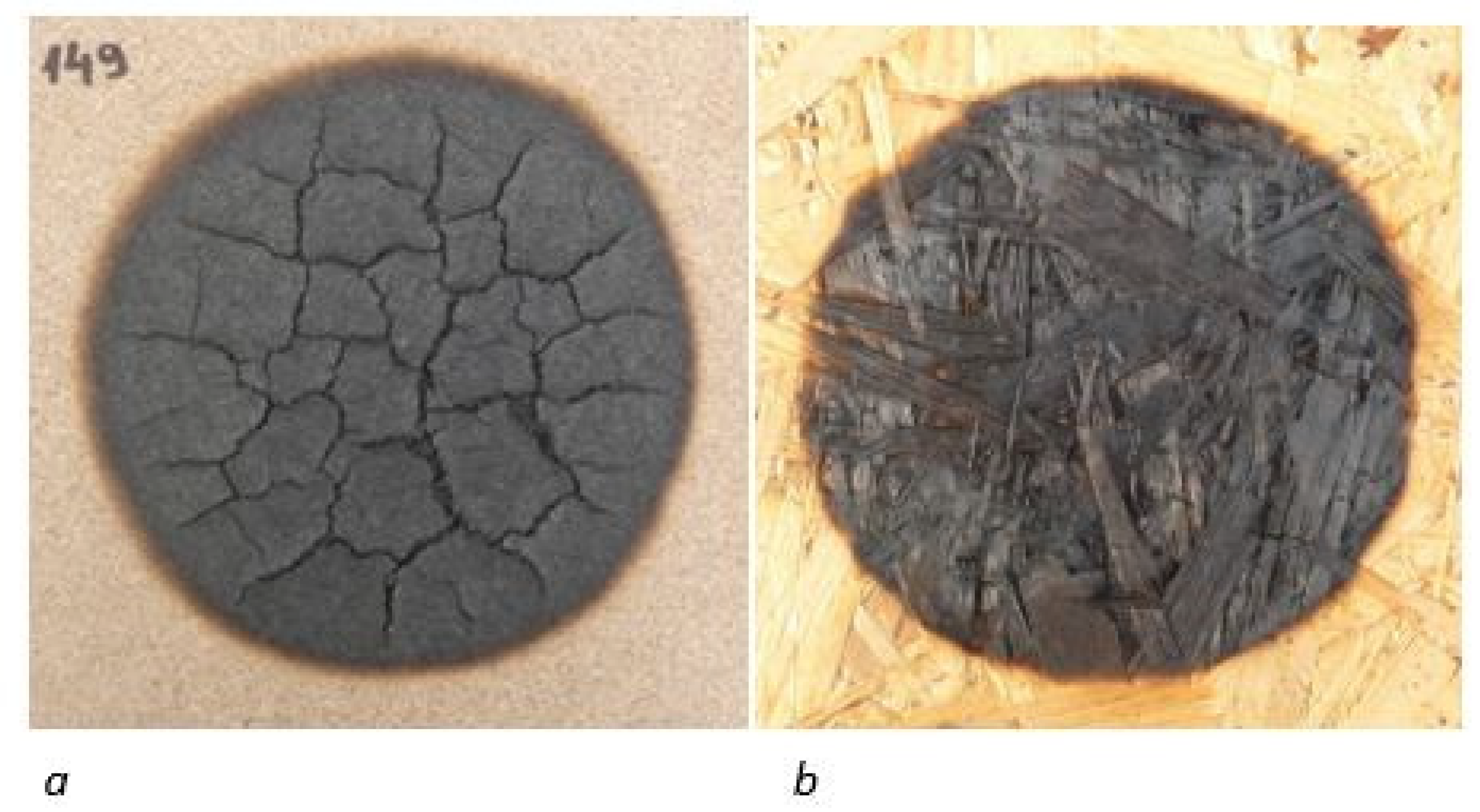 Forests 13 01738 g004