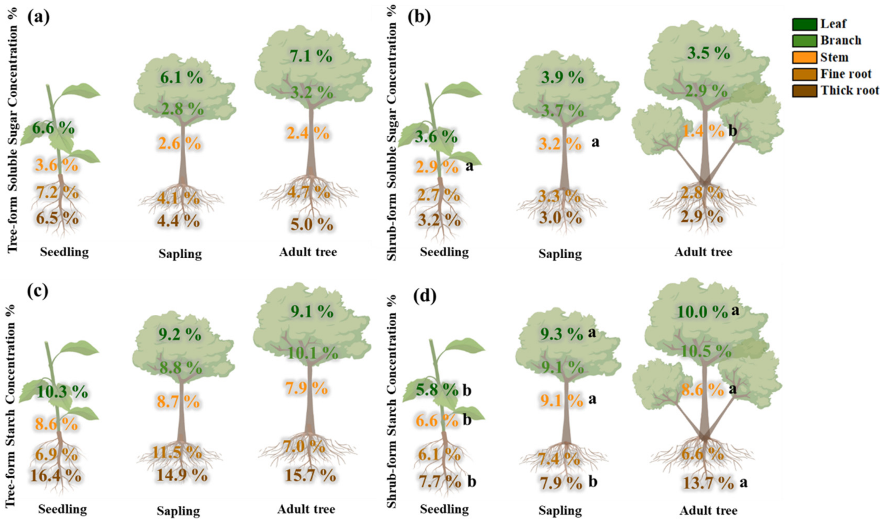 Forests 13 01745 g003