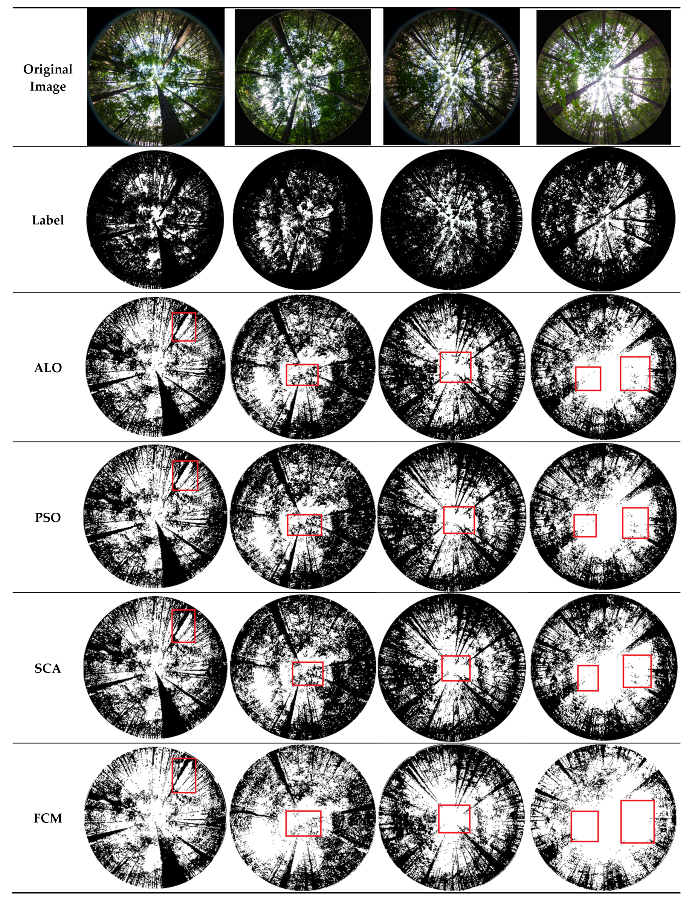 Forests 13 01746 g005a