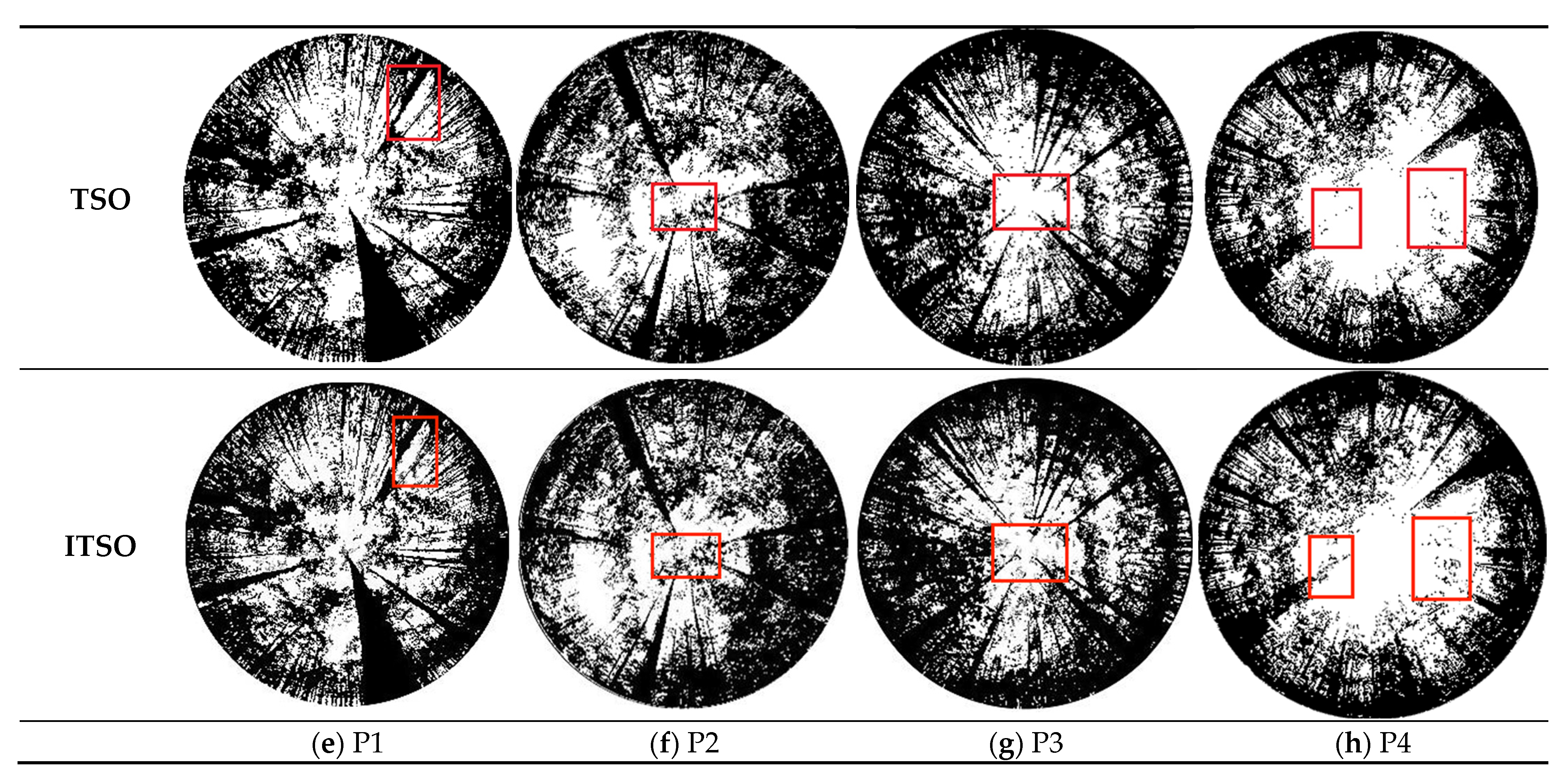 Forests 13 01746 g005b