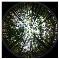 Forests 13 01746 i005