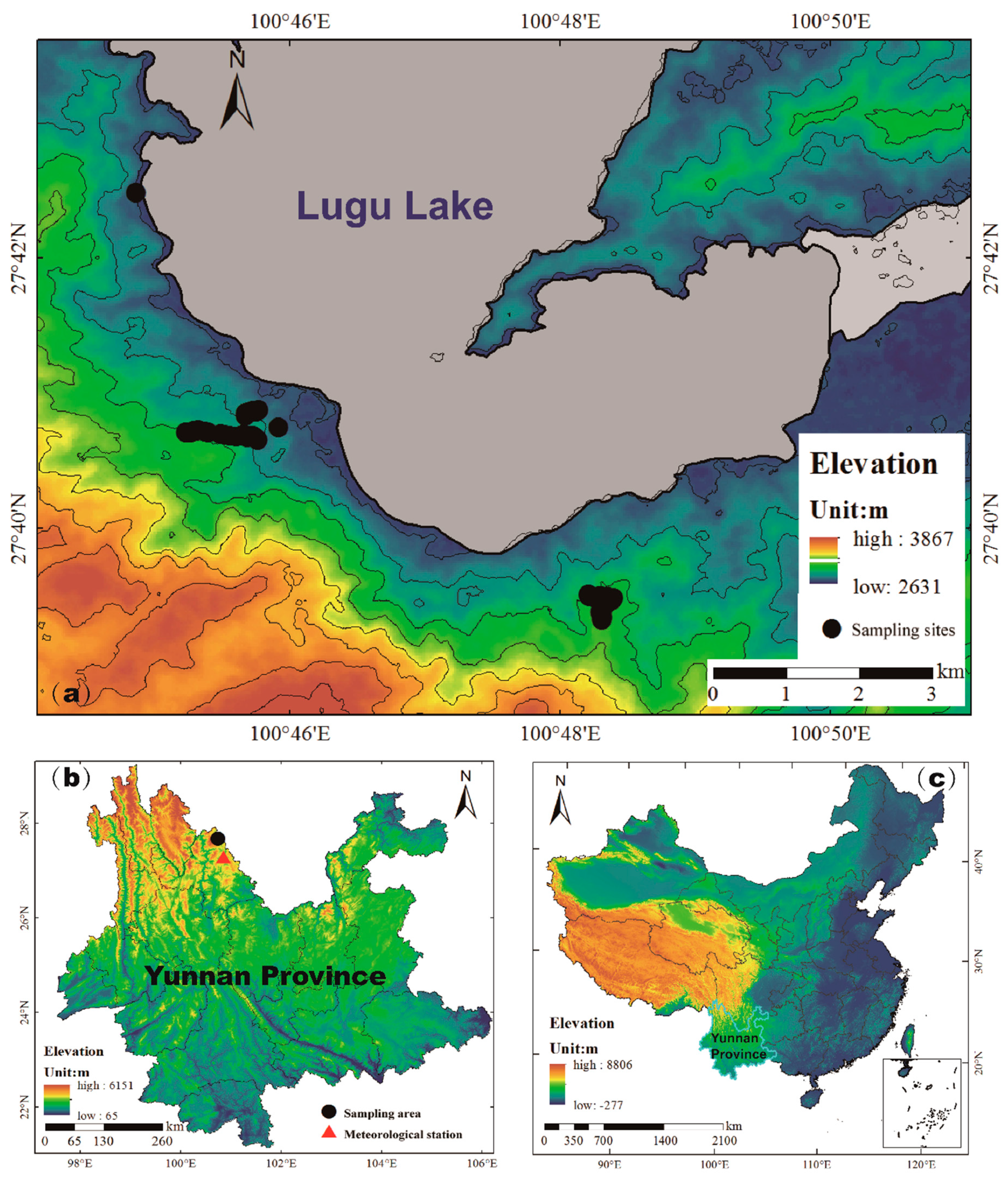Forests 13 01747 g001
