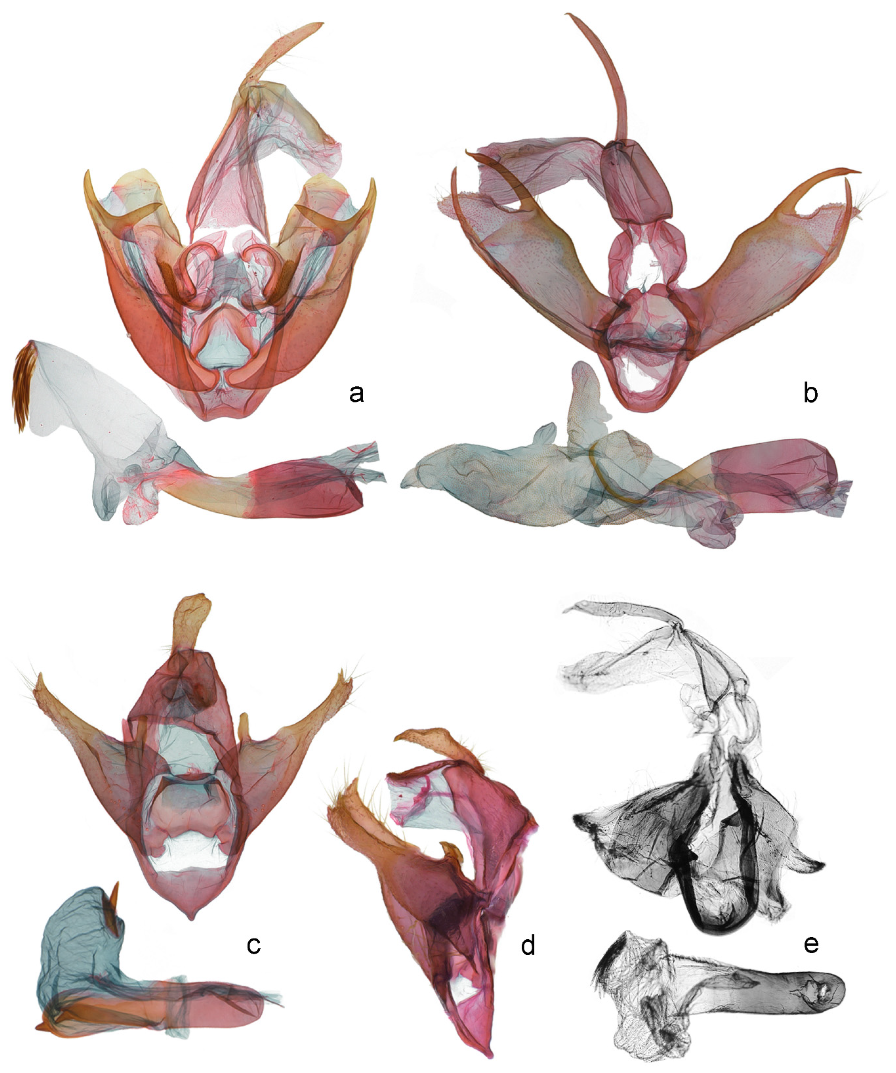 Forests 13 01748 g002