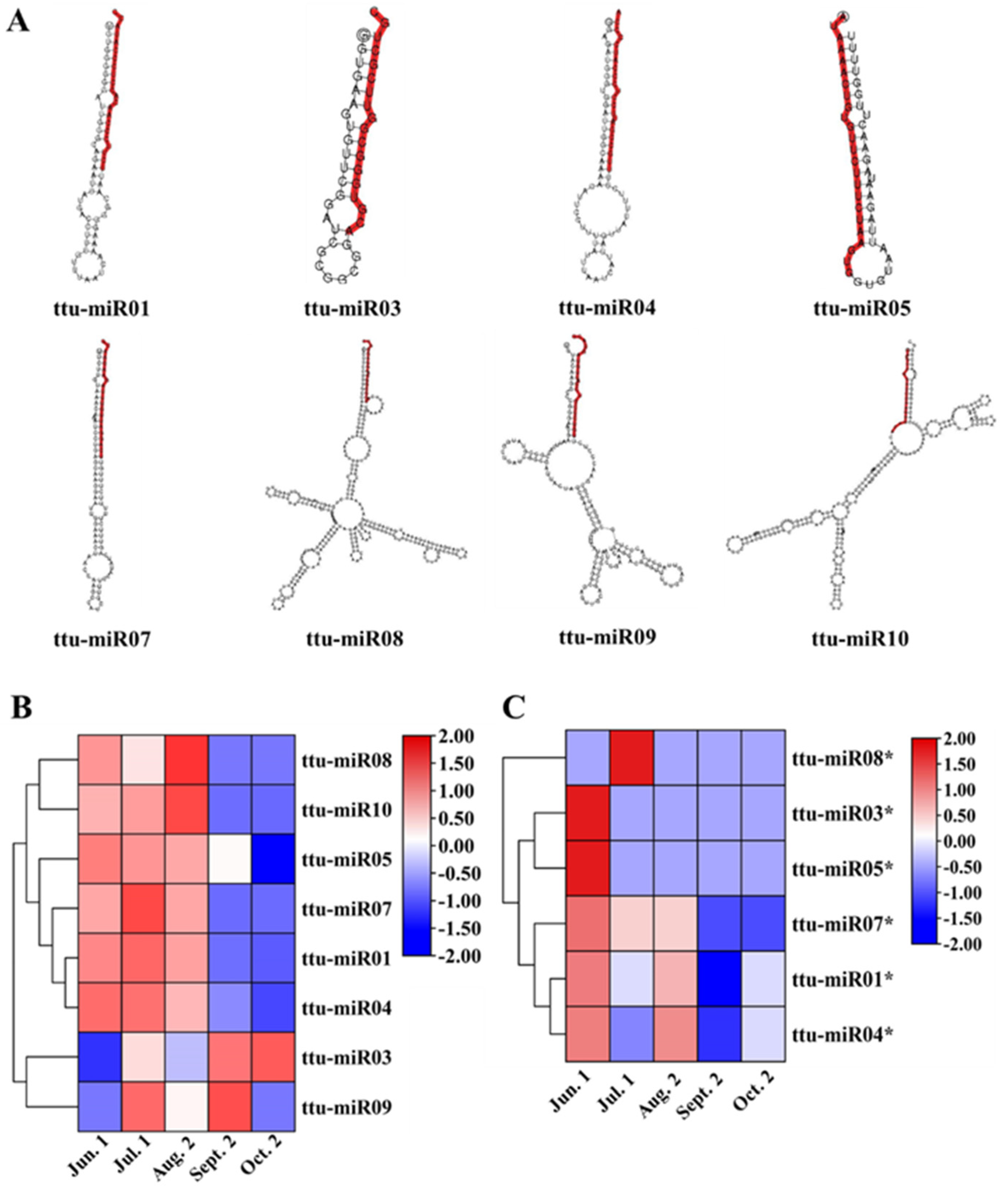 Forests 13 01750 g002