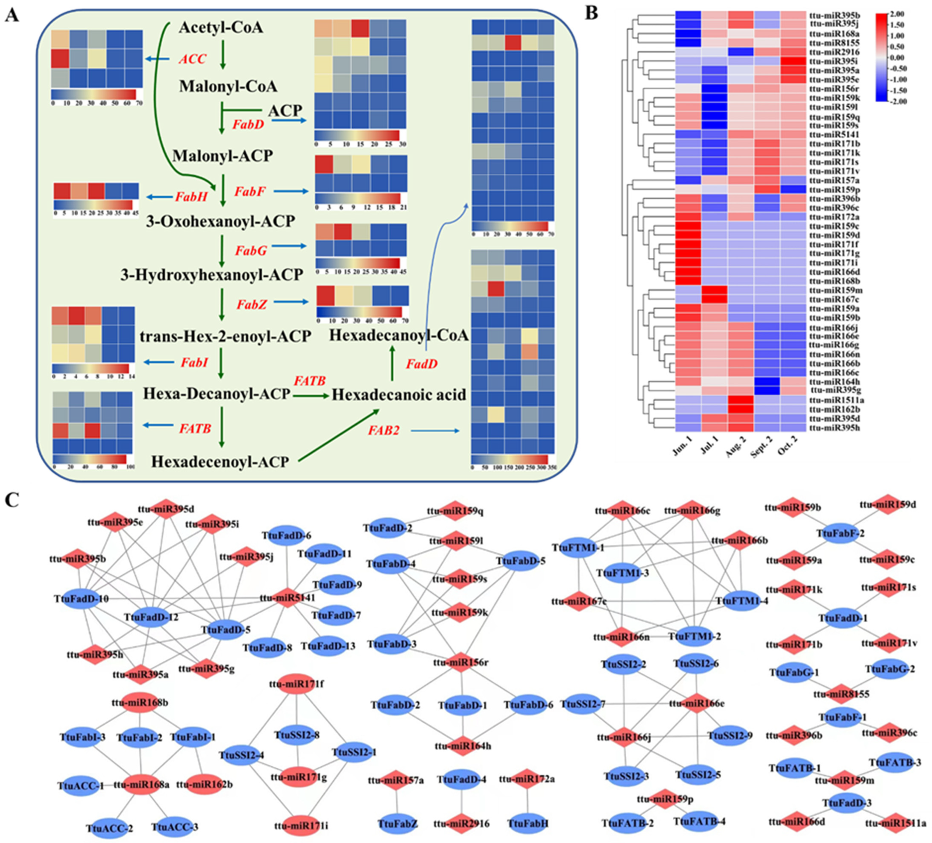 Forests 13 01750 g005