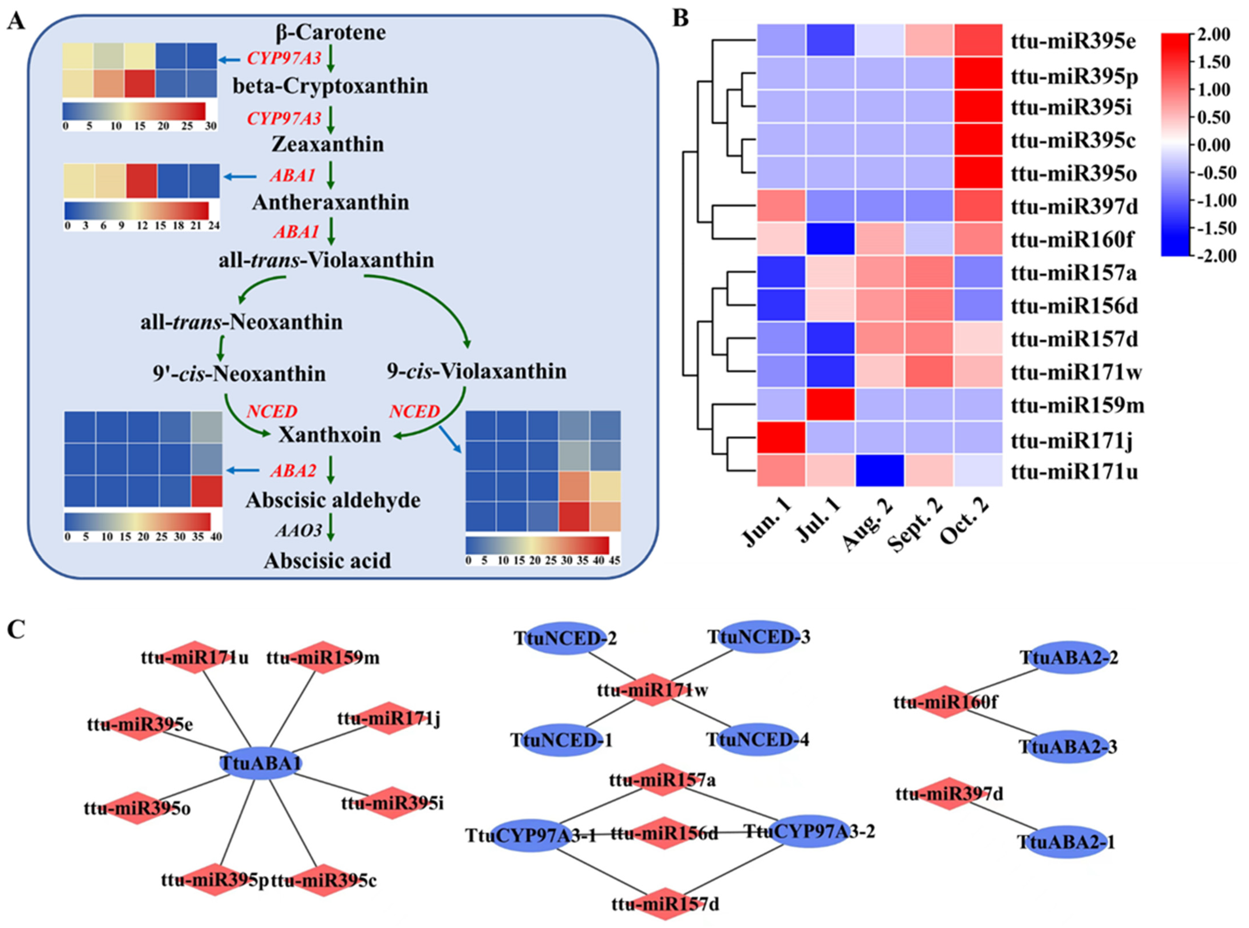 Forests 13 01750 g006