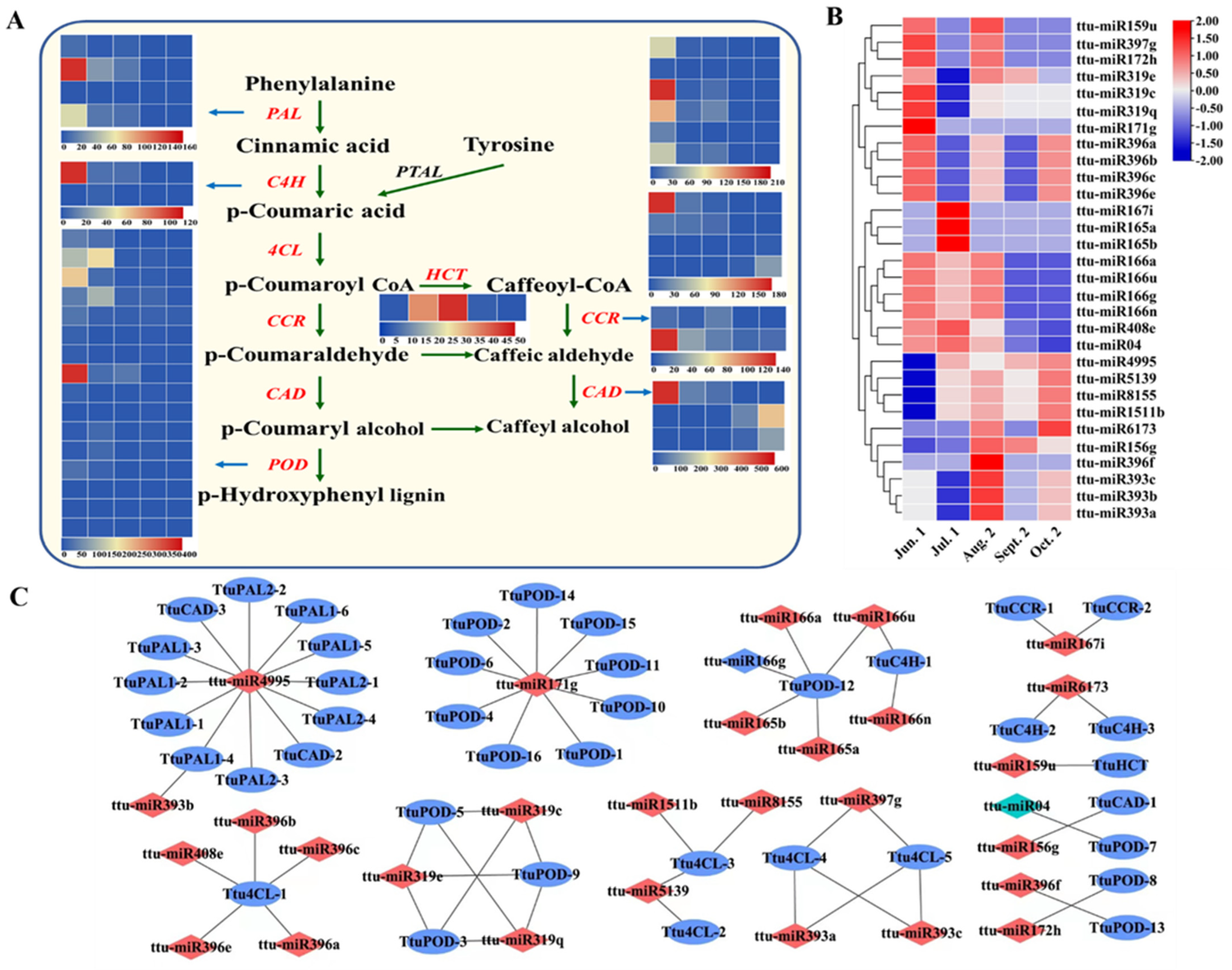 Forests 13 01750 g007