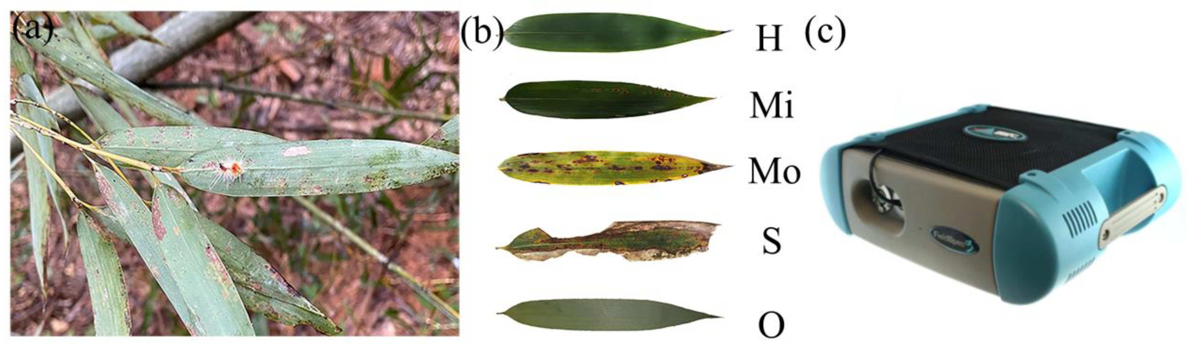 Forests 13 01752 g002