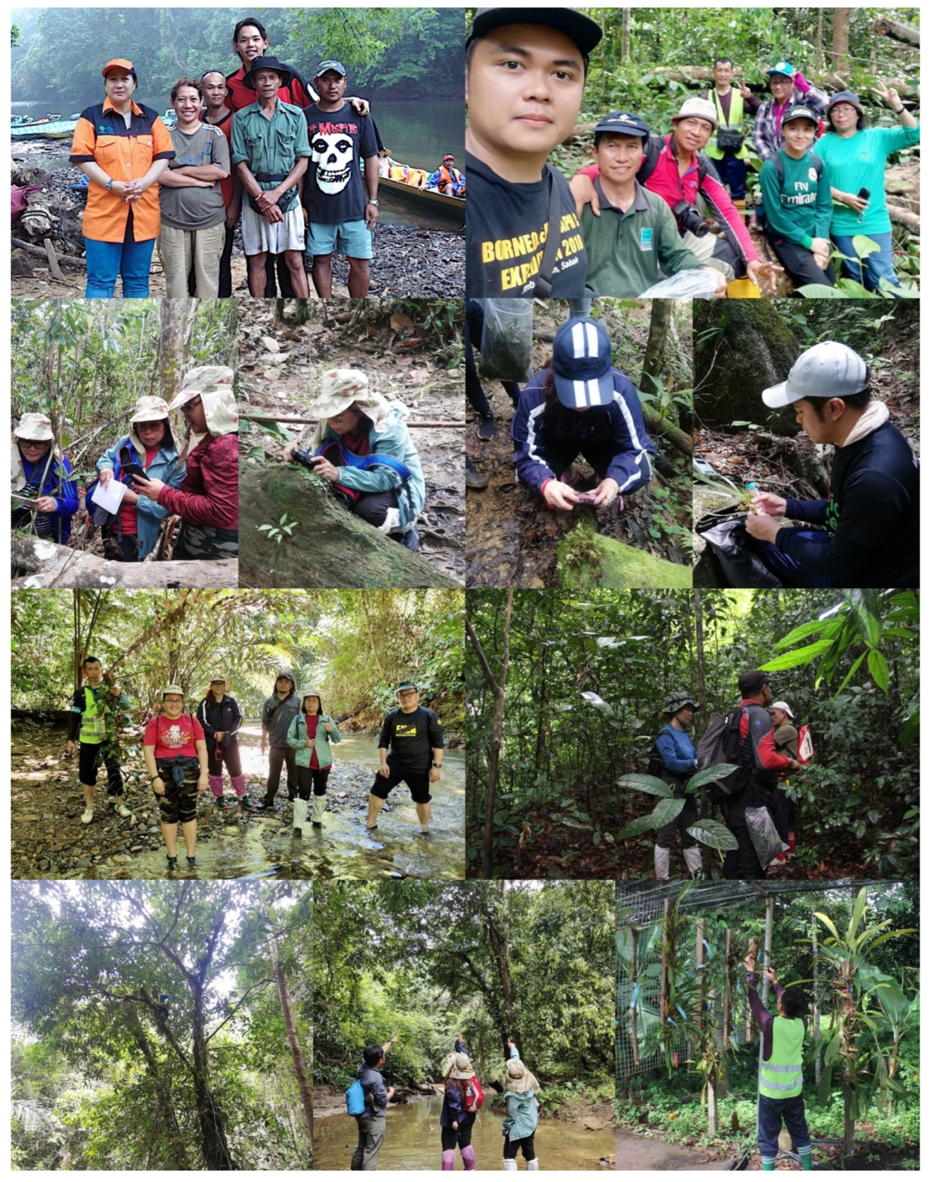 Forests 13 01759 g001