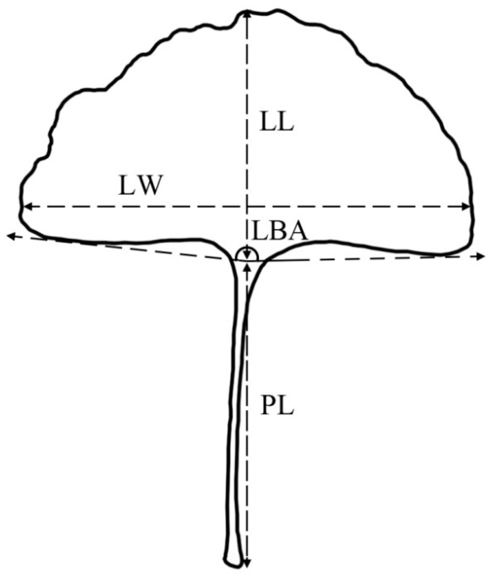 Forests 13 01764 g002