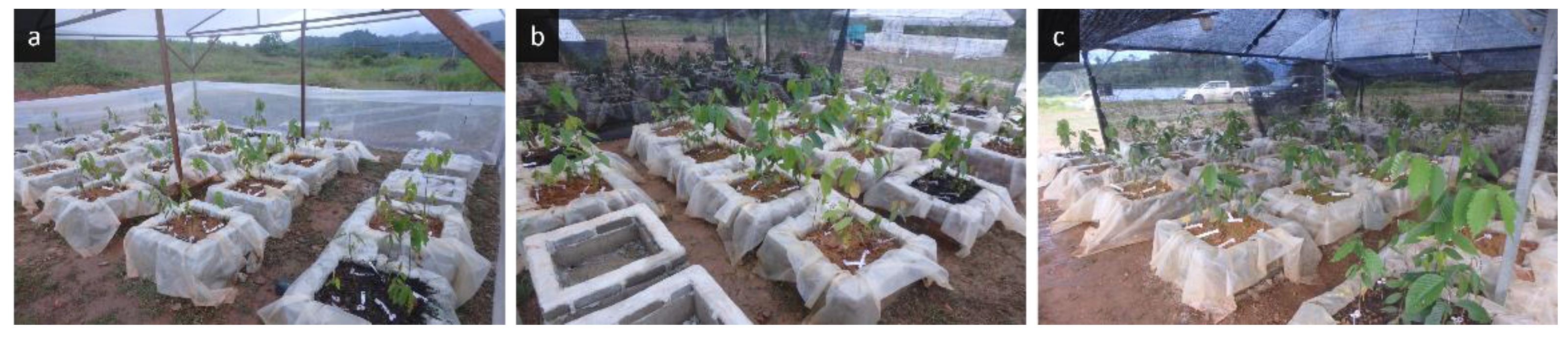 Forests 13 01768 g002 Forests 13 01768 g002