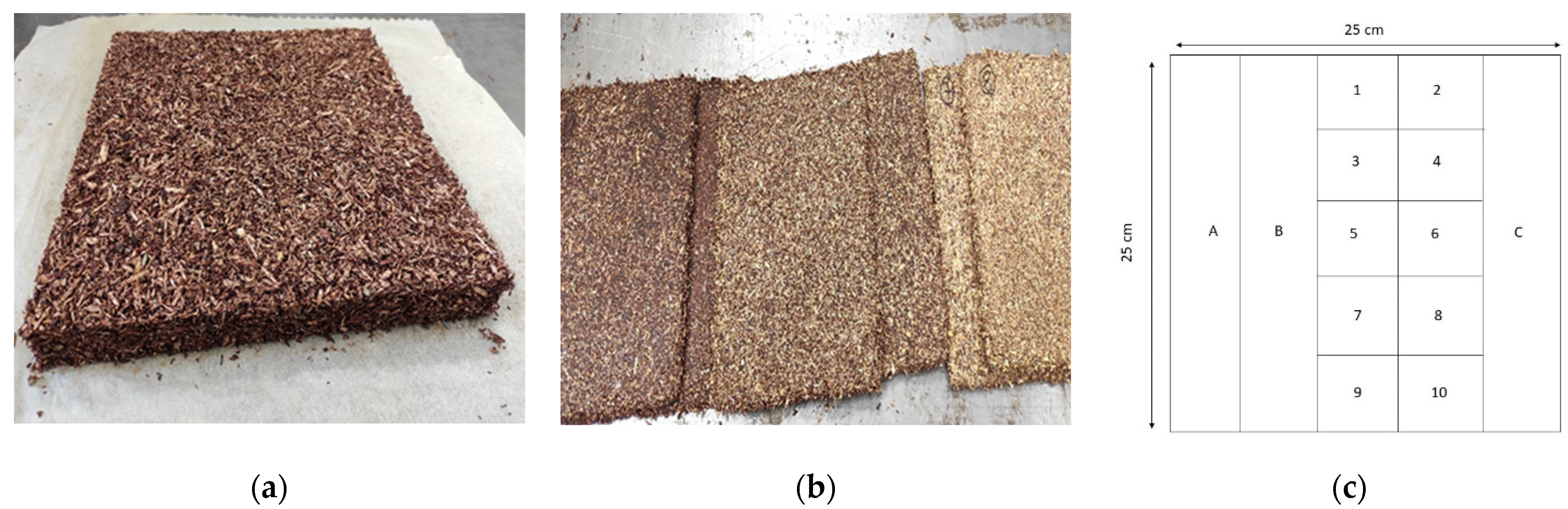 Forests 13 01781 g001