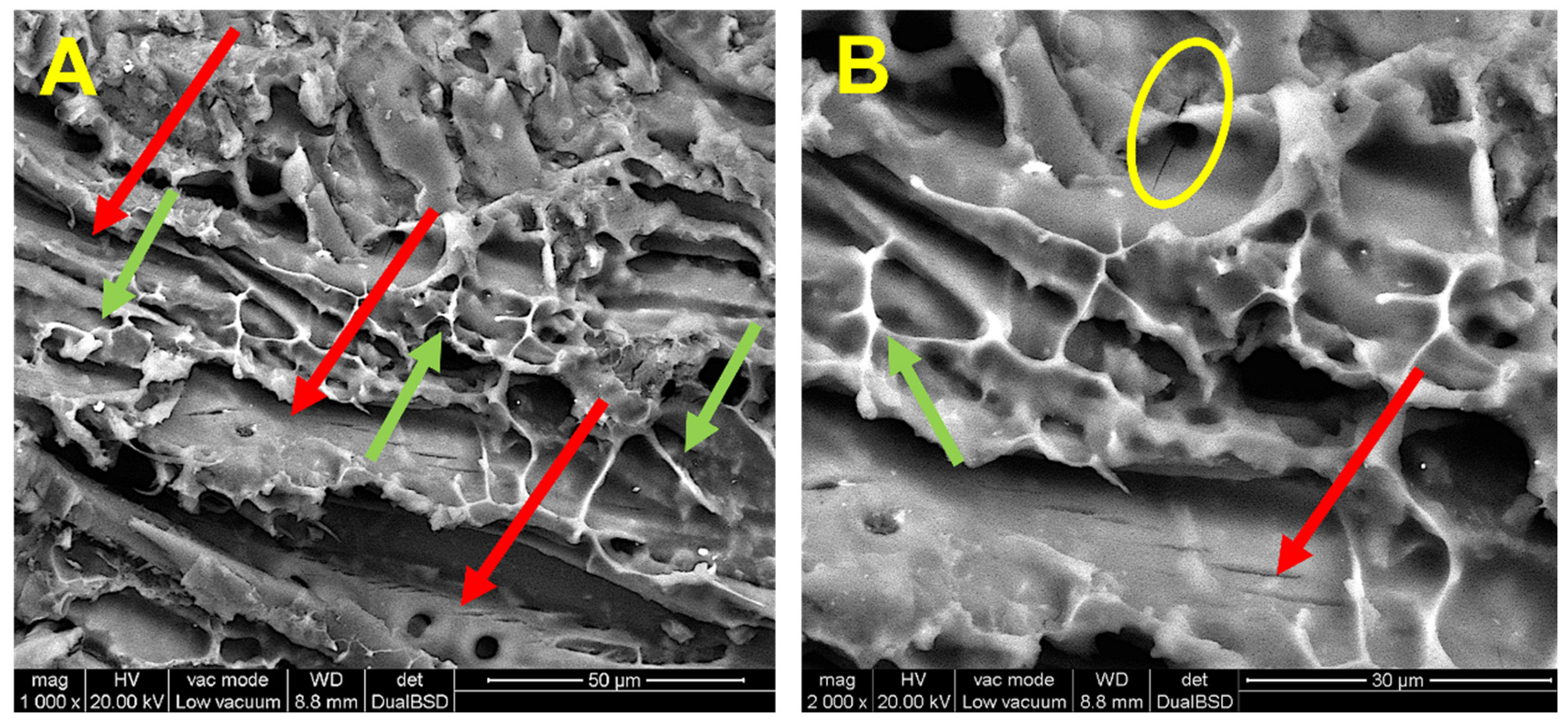 Forests 13 01781 g007