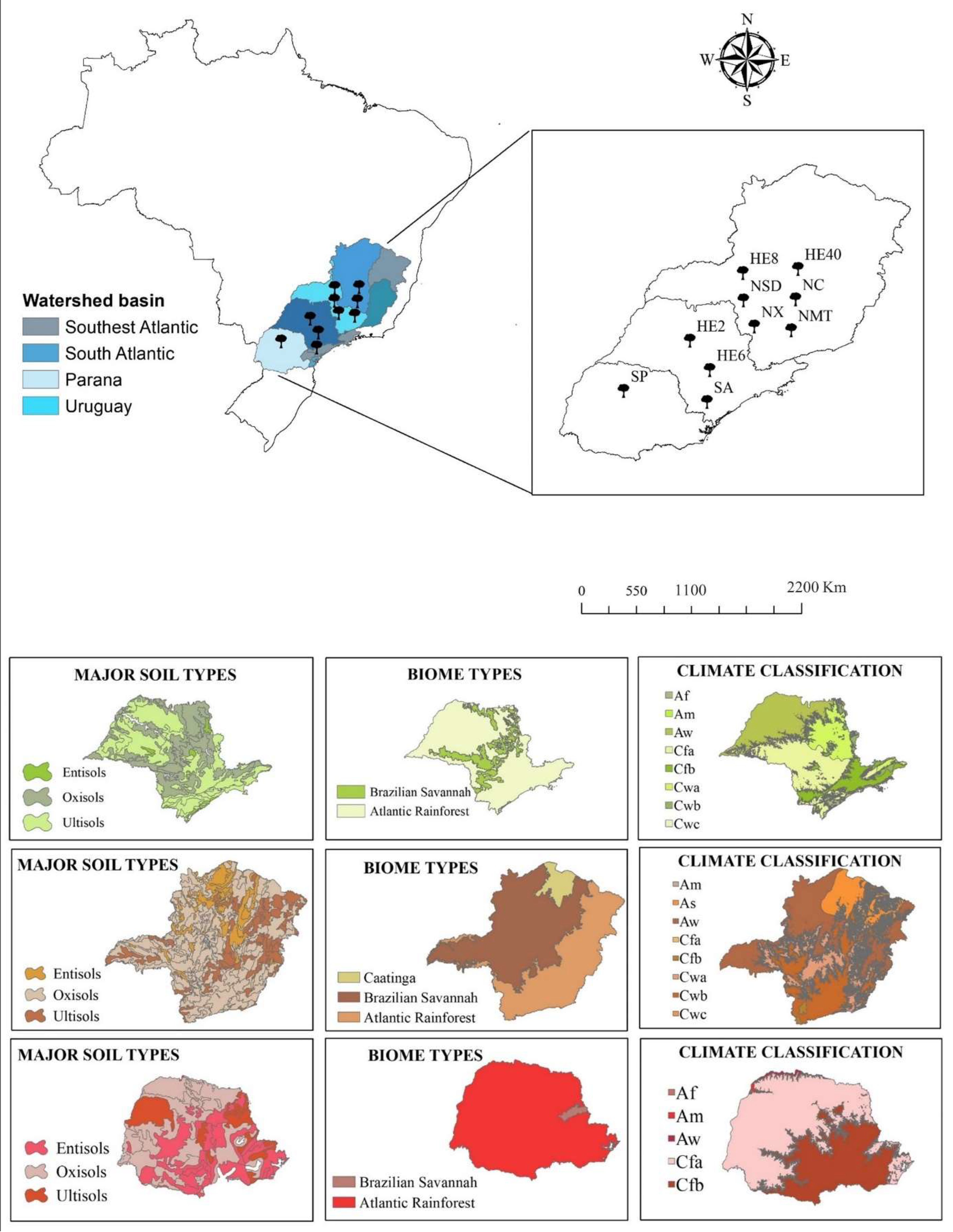 Forests 13 01783 g001