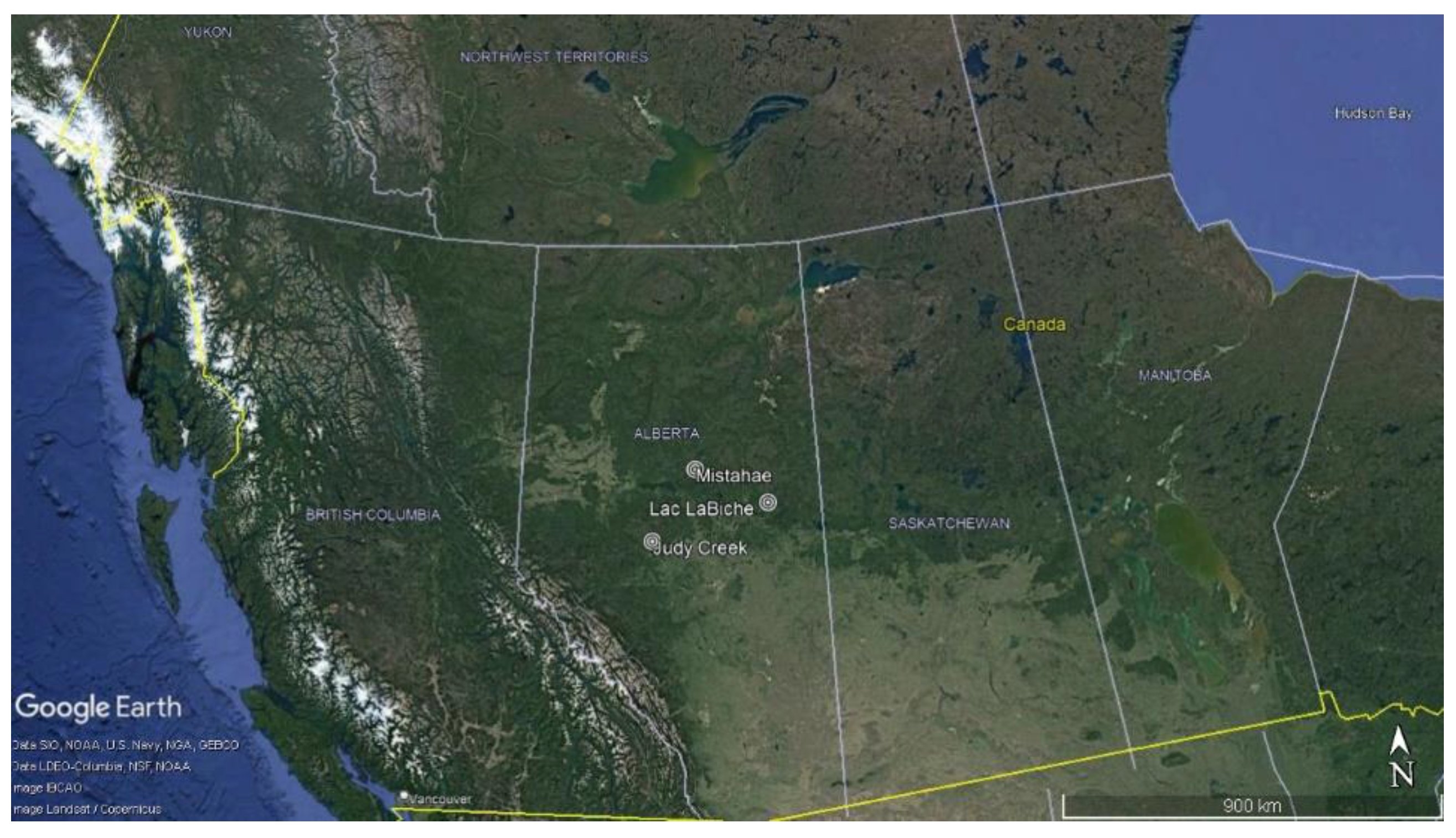 Forests 13 01784 g001