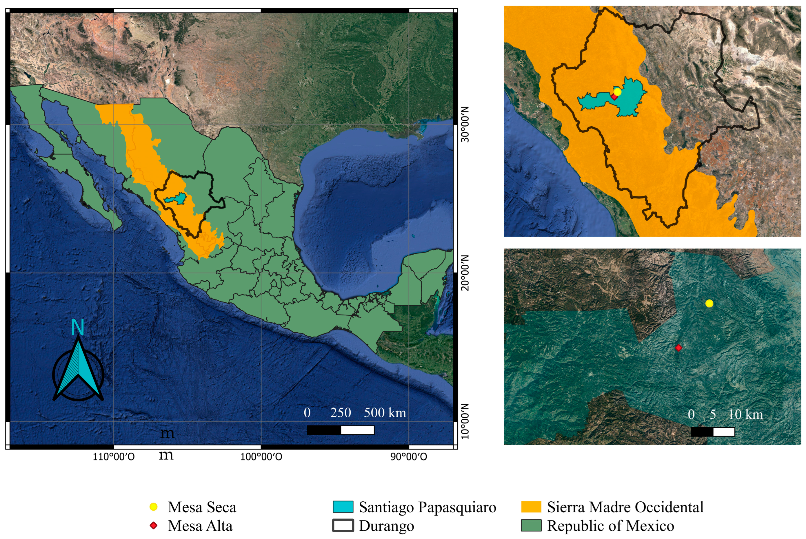 Forests 13 01791 g001