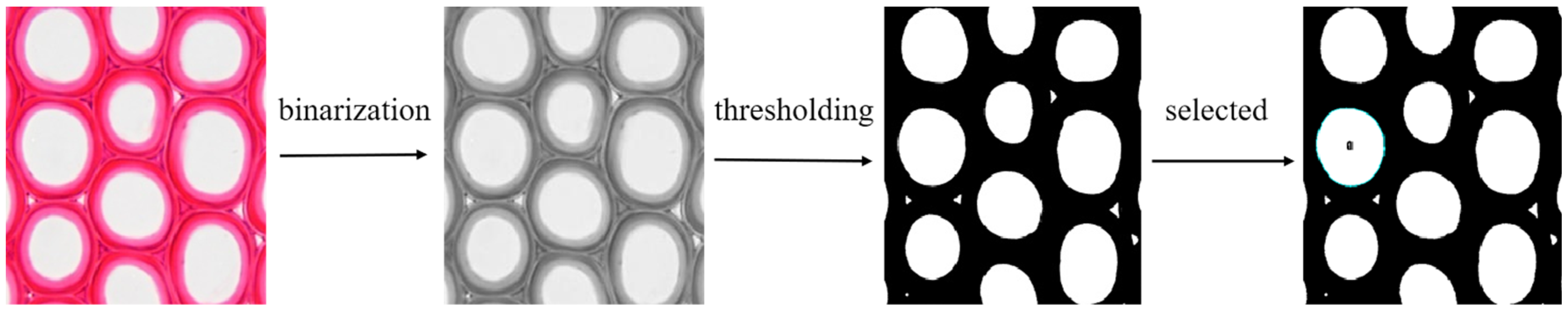 Forests 13 01792 g002