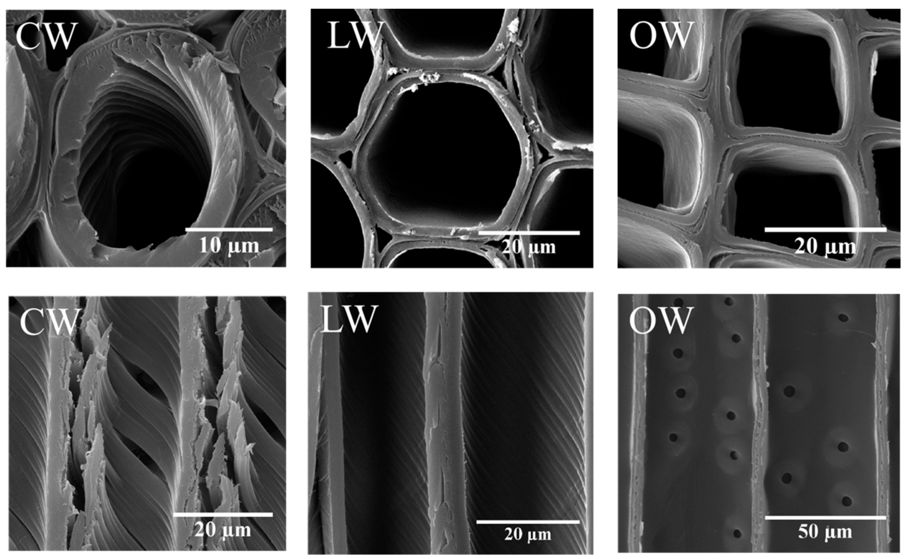 Forests 13 01792 g005