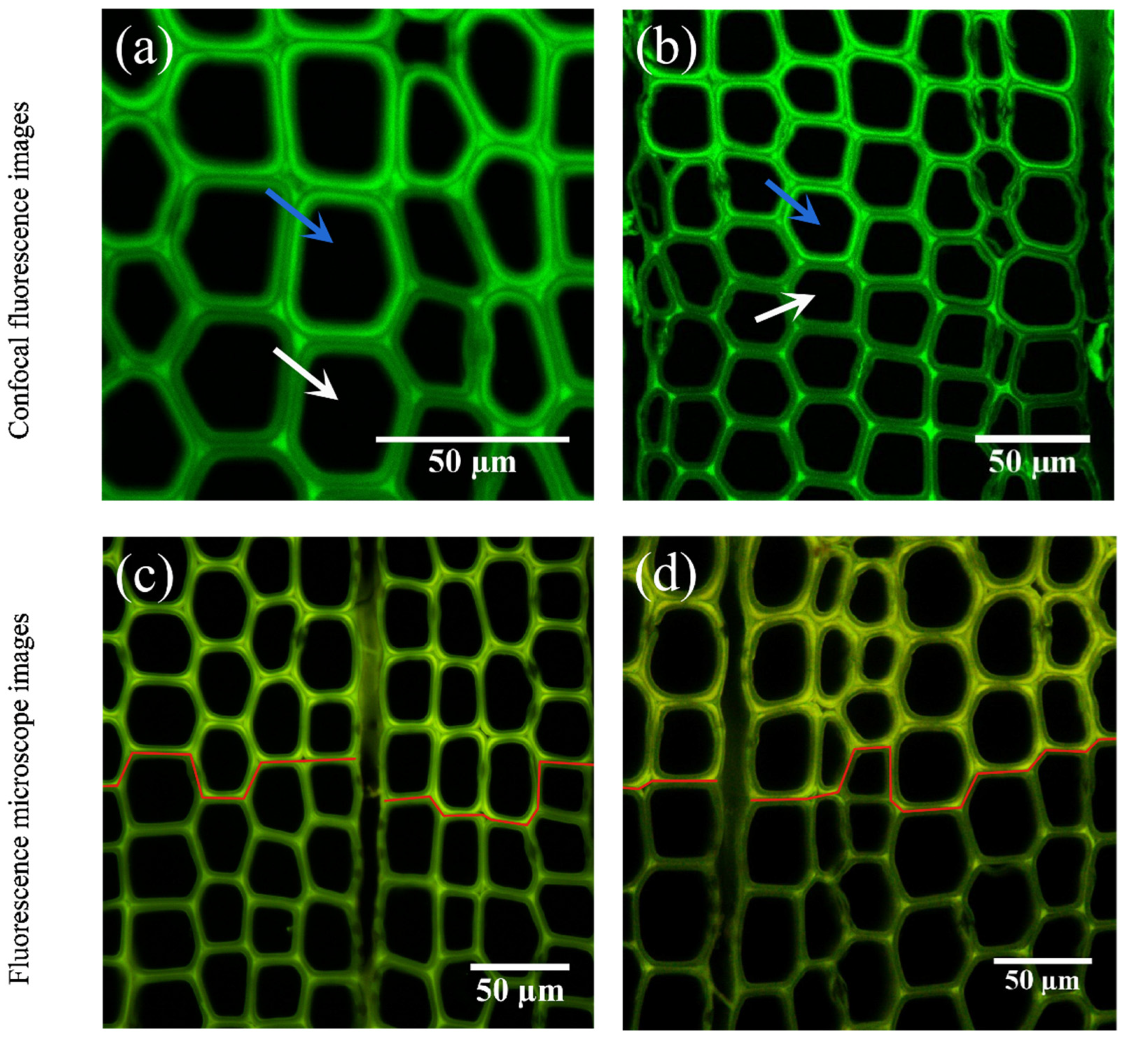 Forests 13 01792 g008