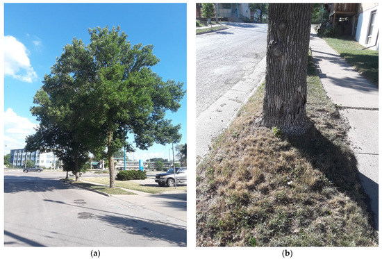 Forests 13 01802 g0a1