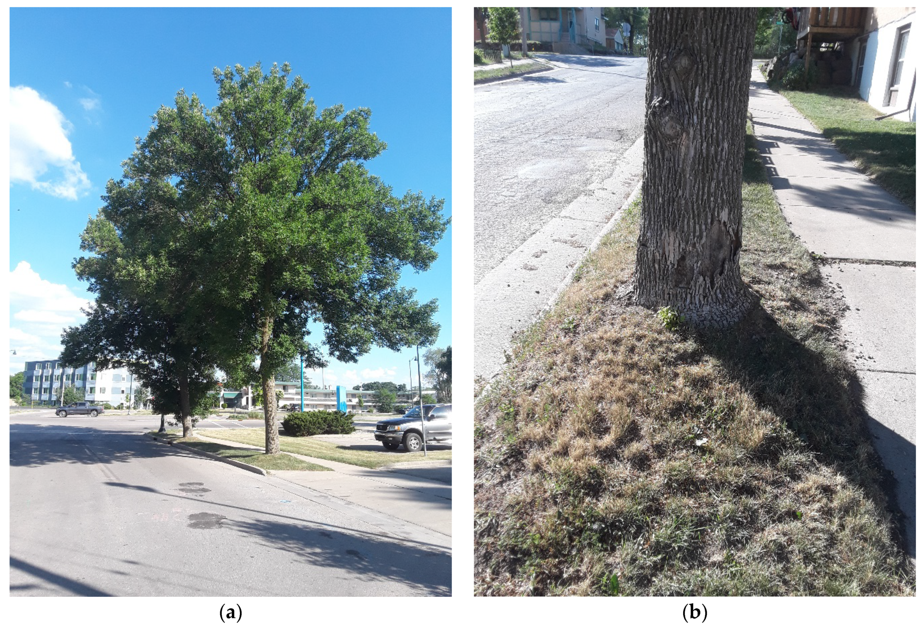 Forests 13 01802 g0a1